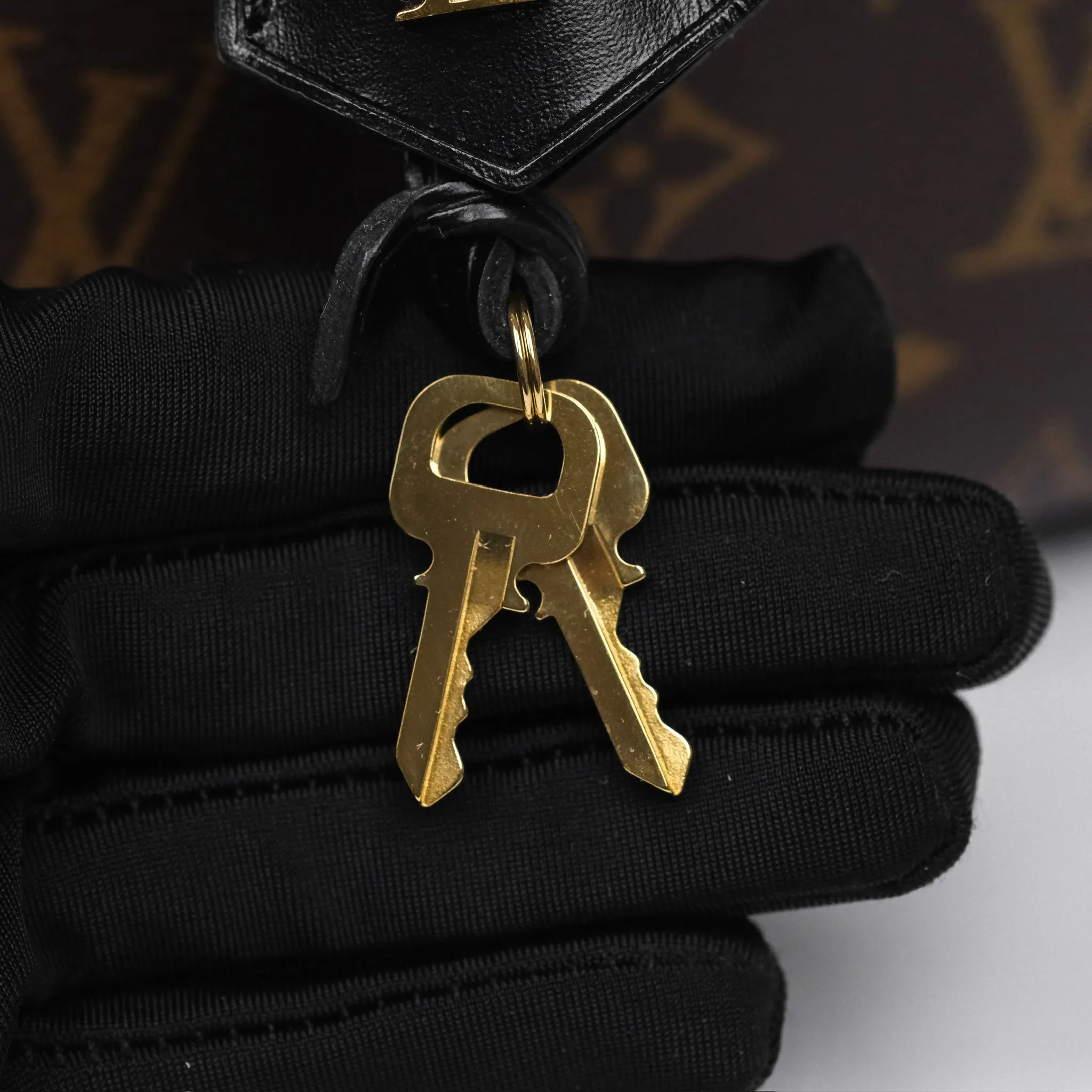 Louis Vuitton Reverse Monogram Vanity PM