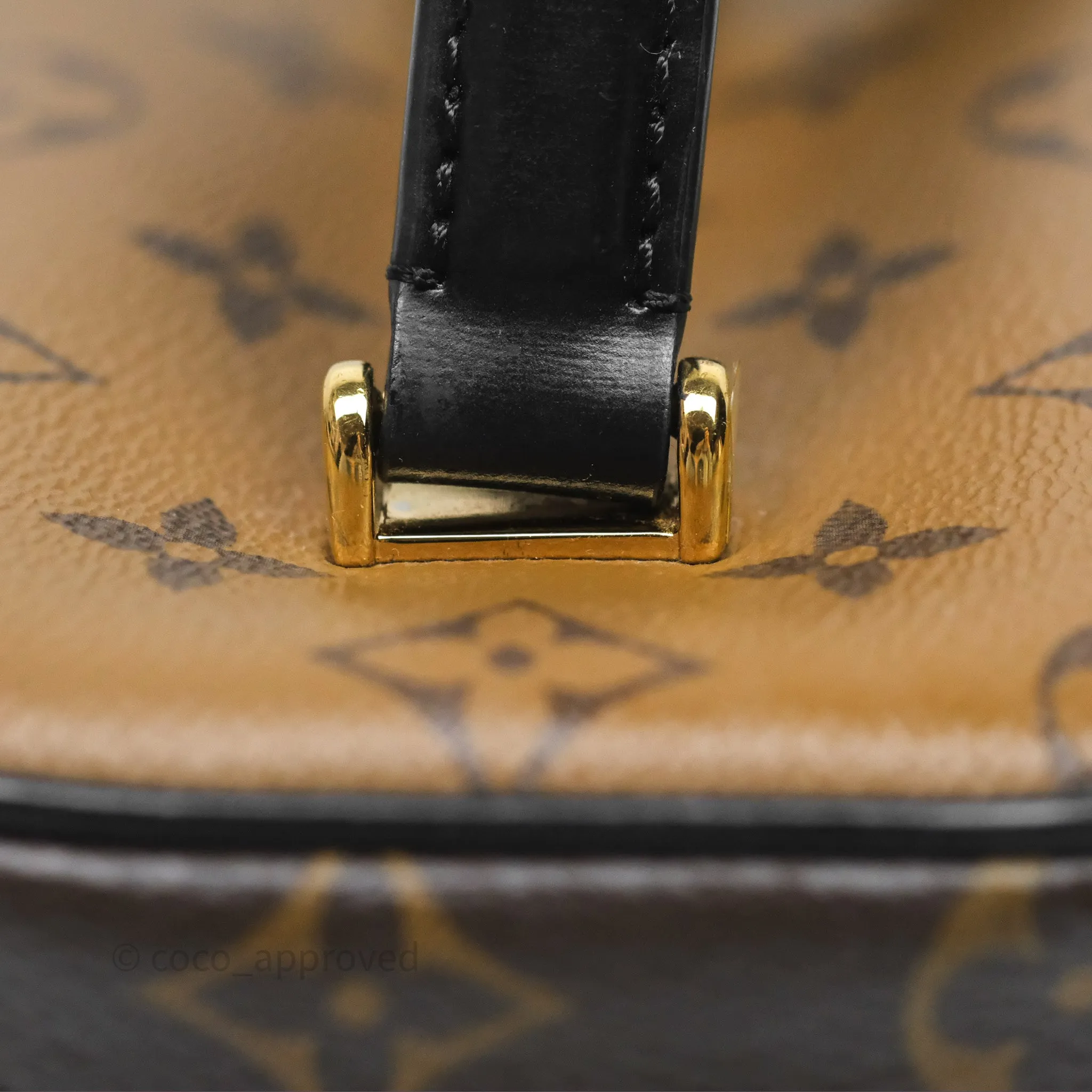 Louis Vuitton Reverse Monogram Vanity PM