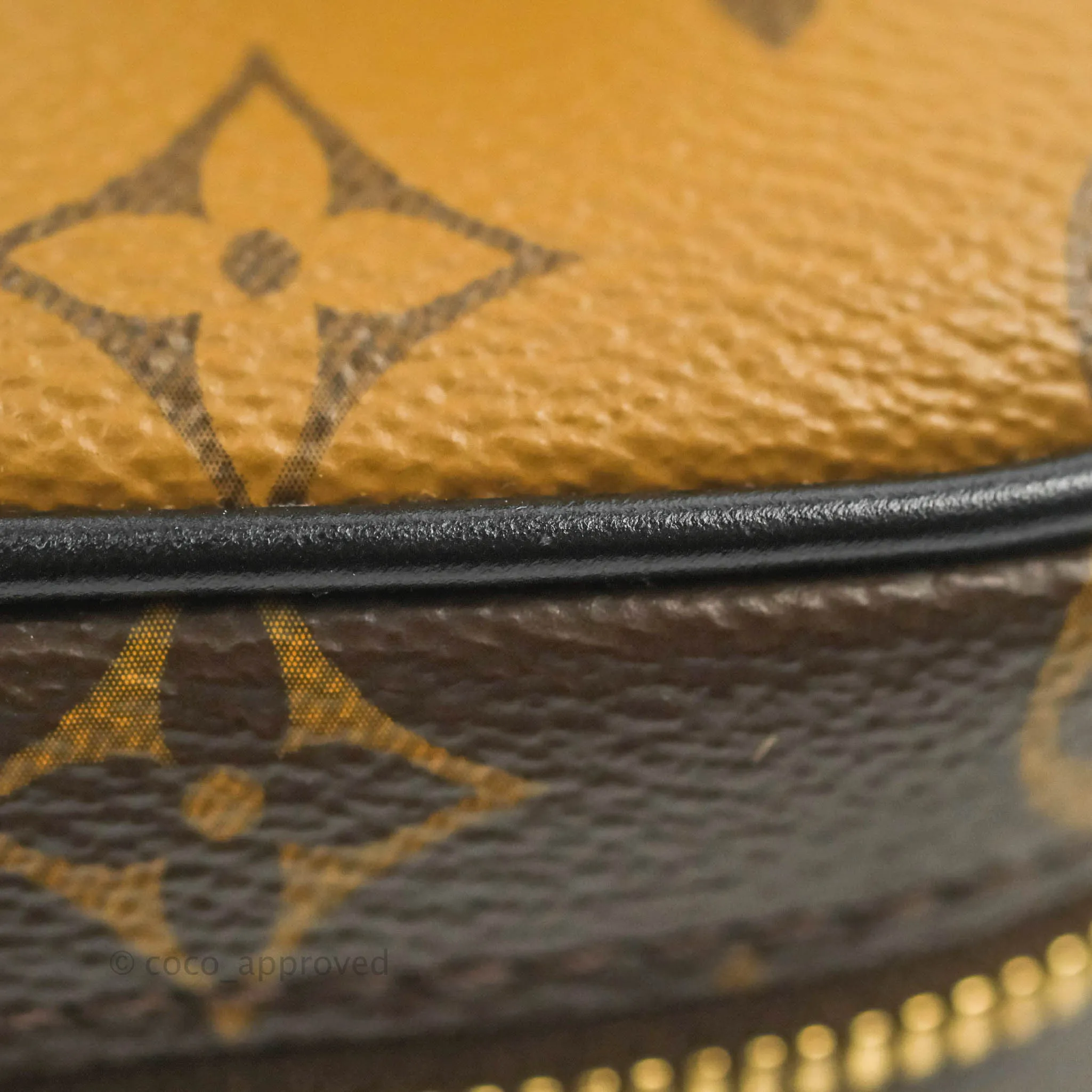 Louis Vuitton Reverse Monogram Vanity PM