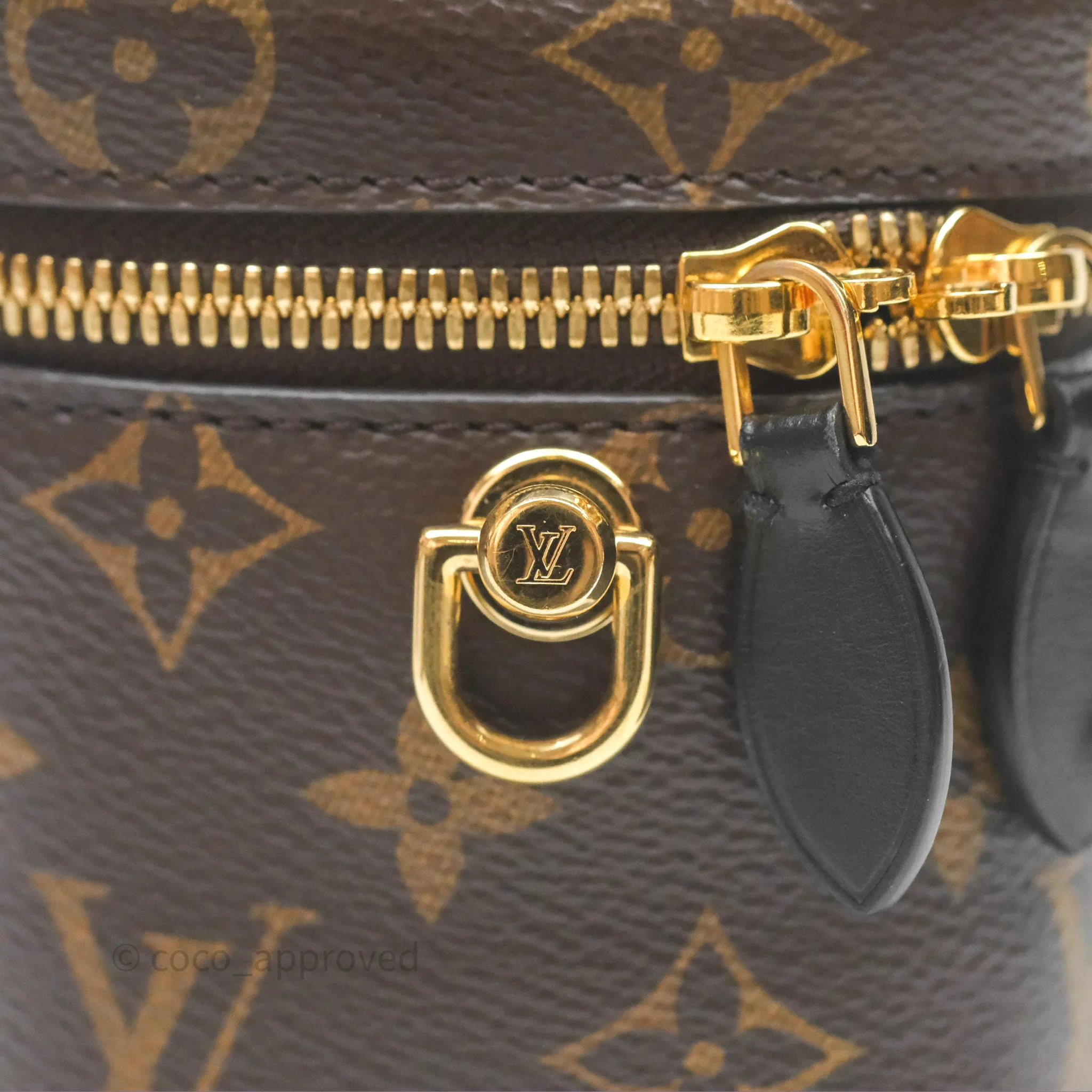 Louis Vuitton Reverse Monogram Vanity PM
