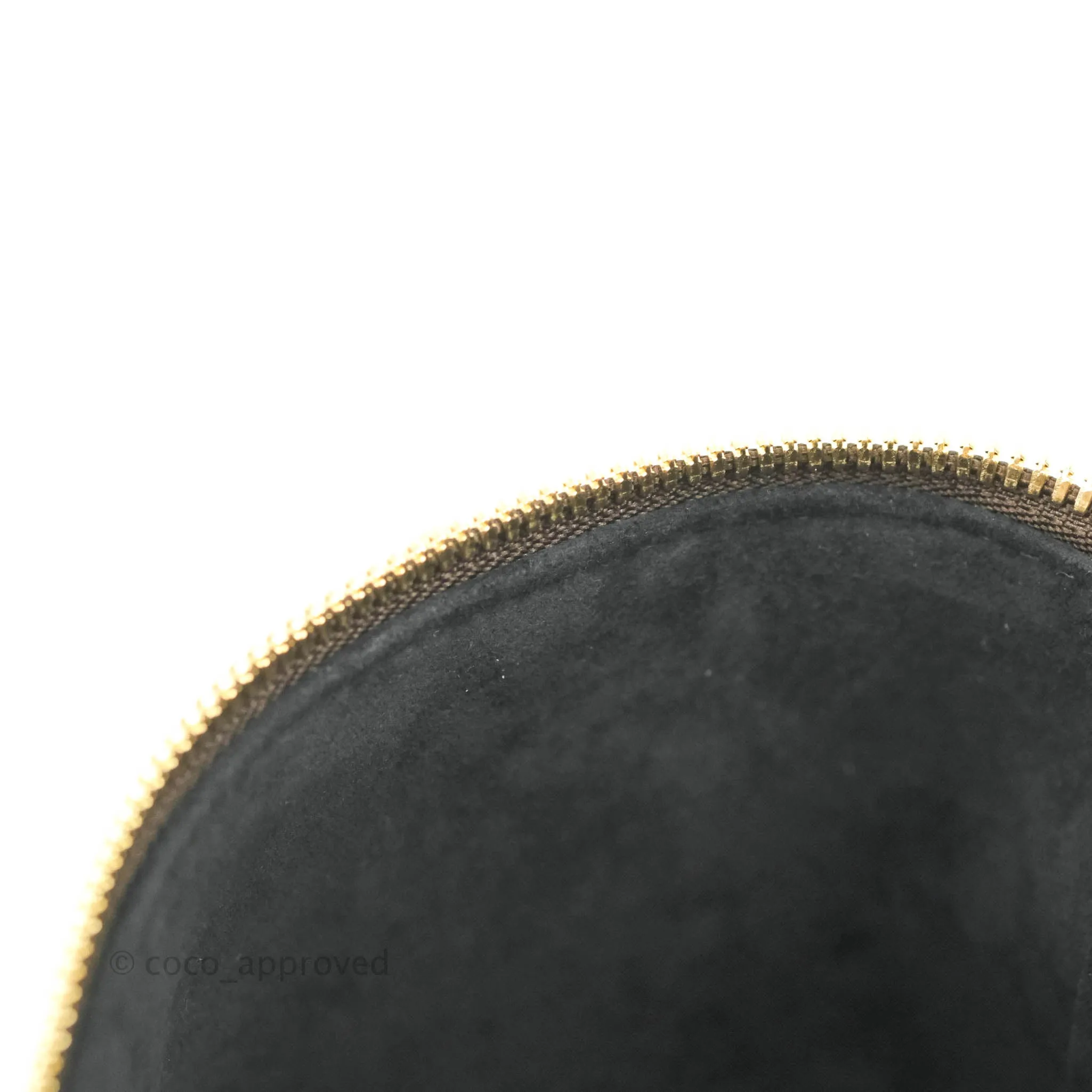 Louis Vuitton Reverse Monogram Vanity PM