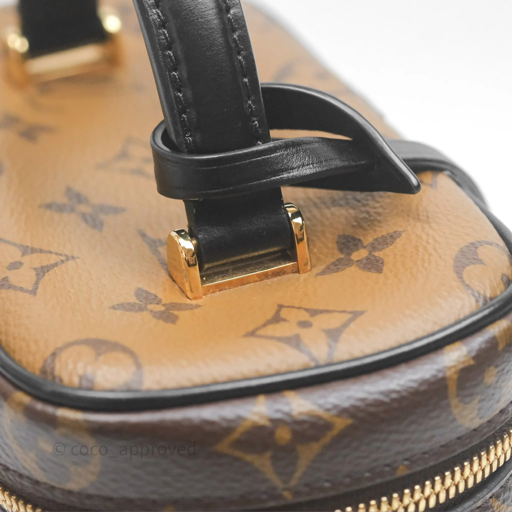 Louis Vuitton Reverse Monogram Vanity PM