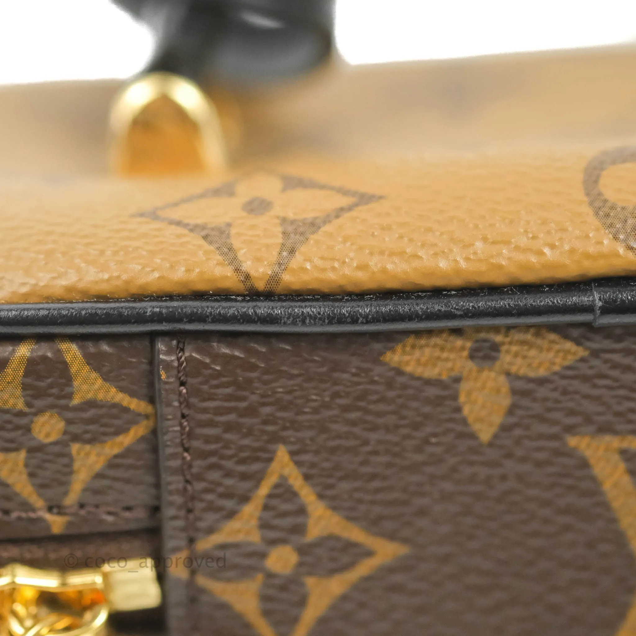 Louis Vuitton Reverse Monogram Vanity PM