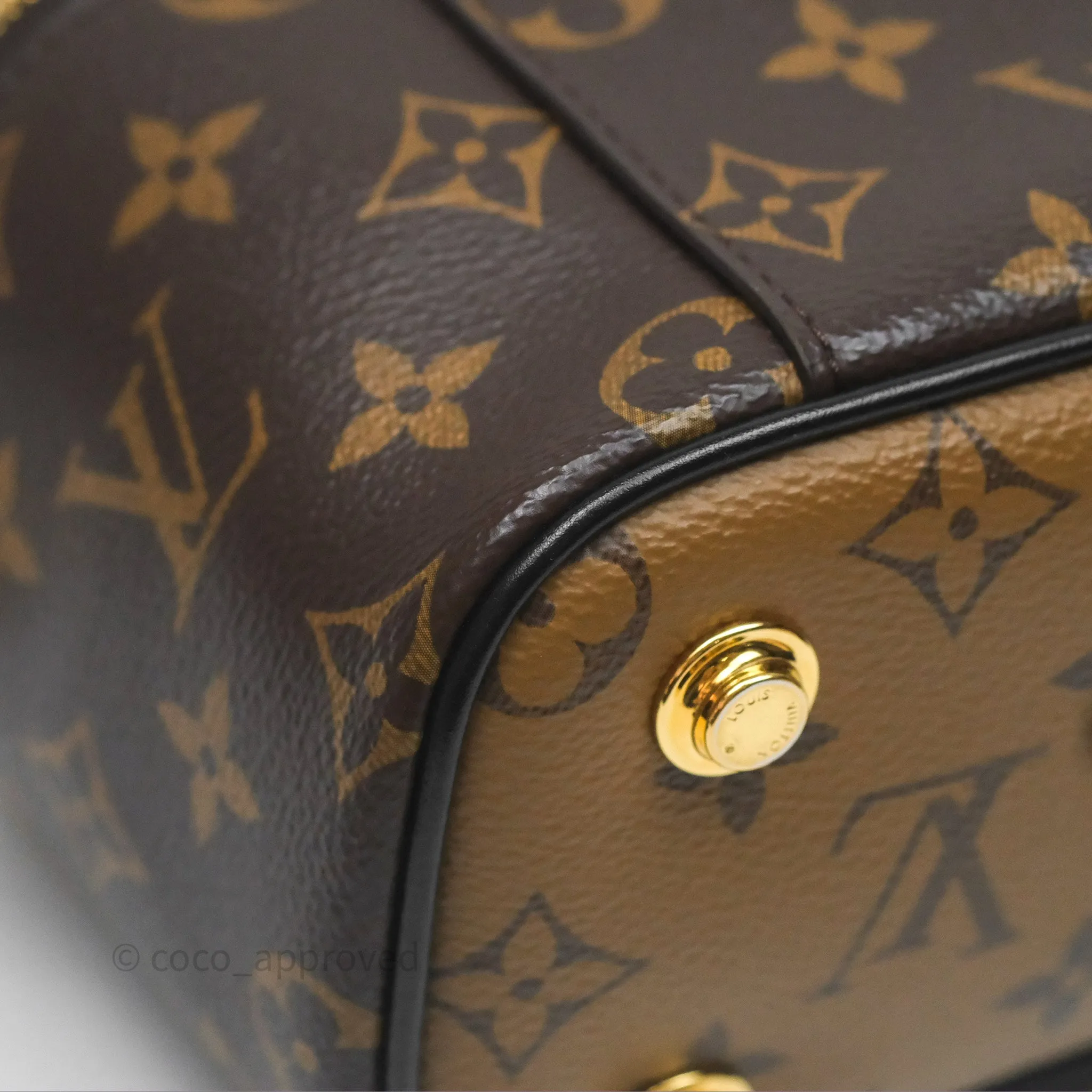 Louis Vuitton Reverse Monogram Vanity PM