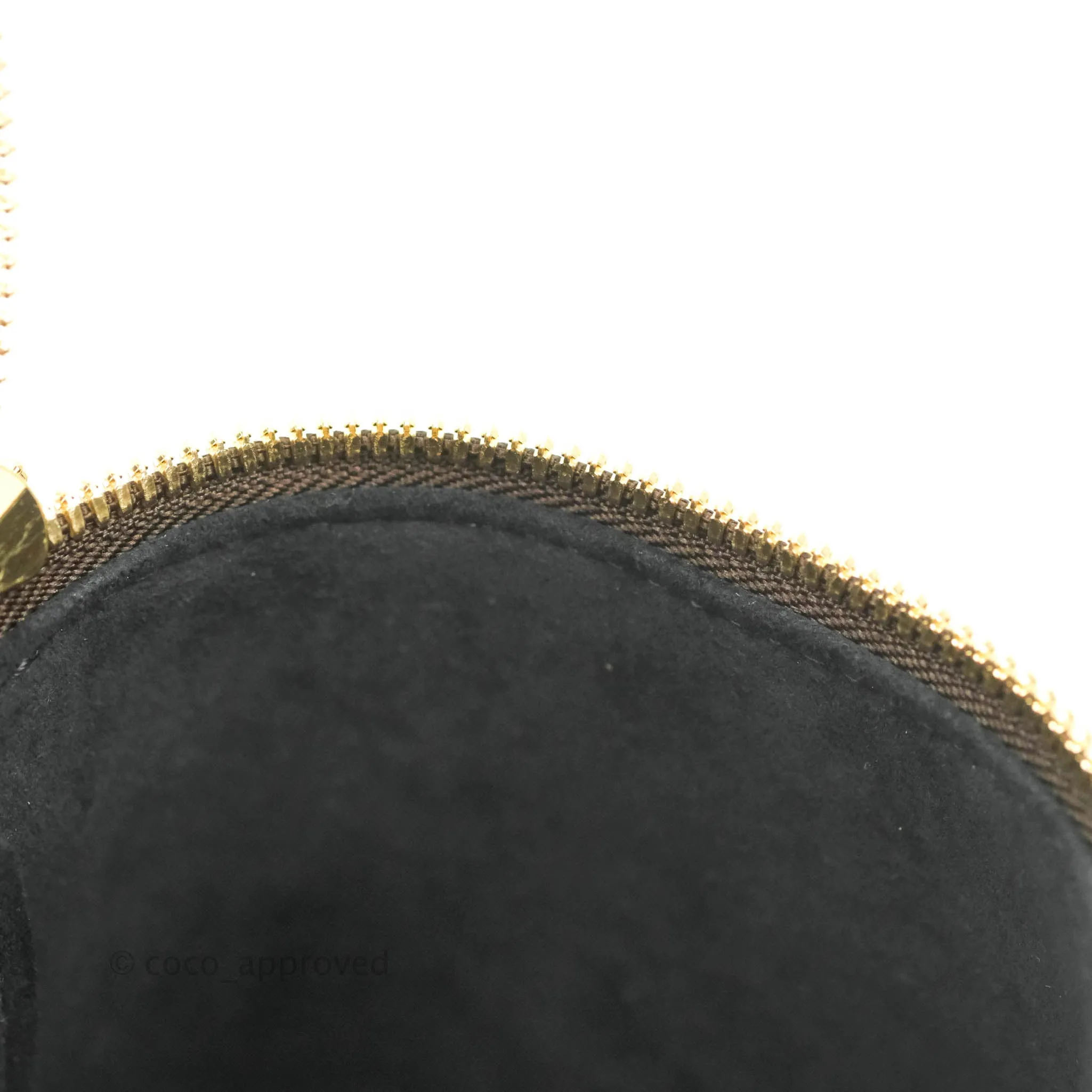 Louis Vuitton Reverse Monogram Vanity PM