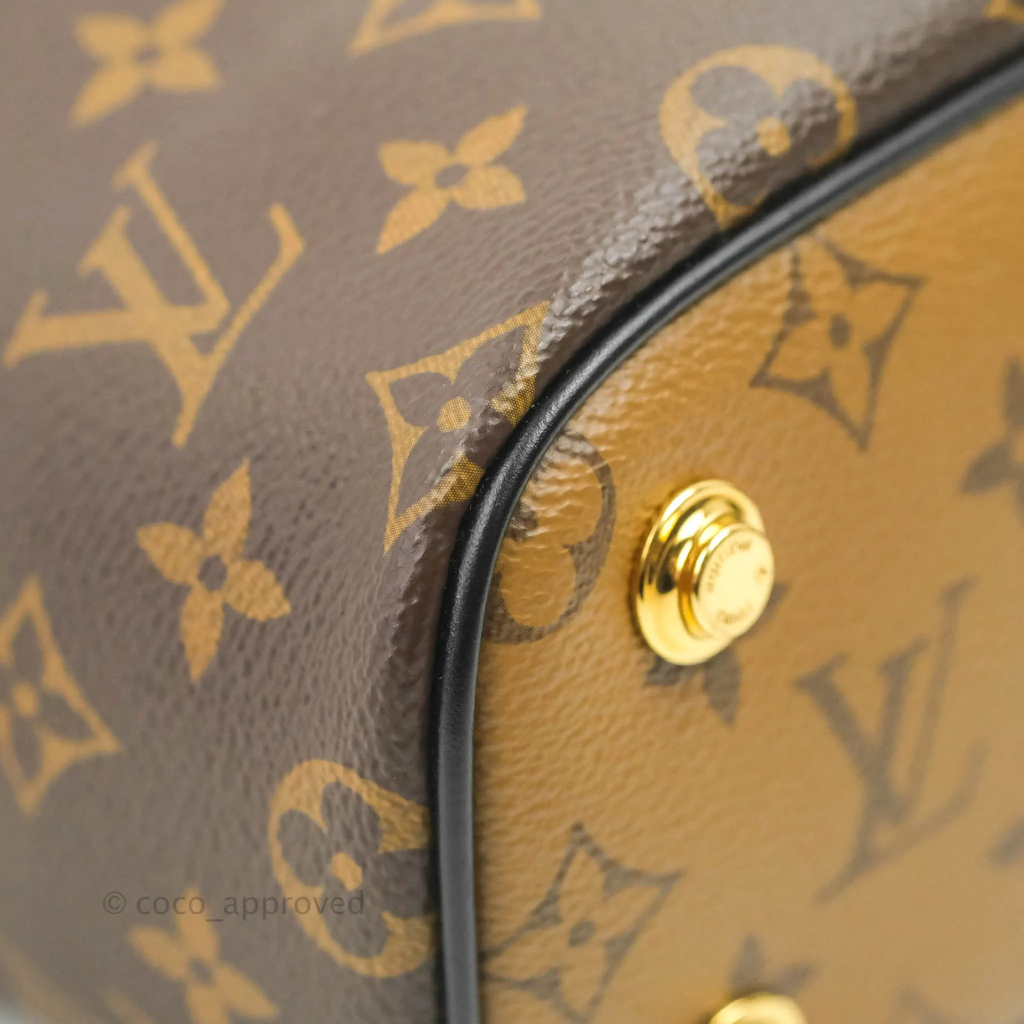 Louis Vuitton Reverse Monogram Vanity PM