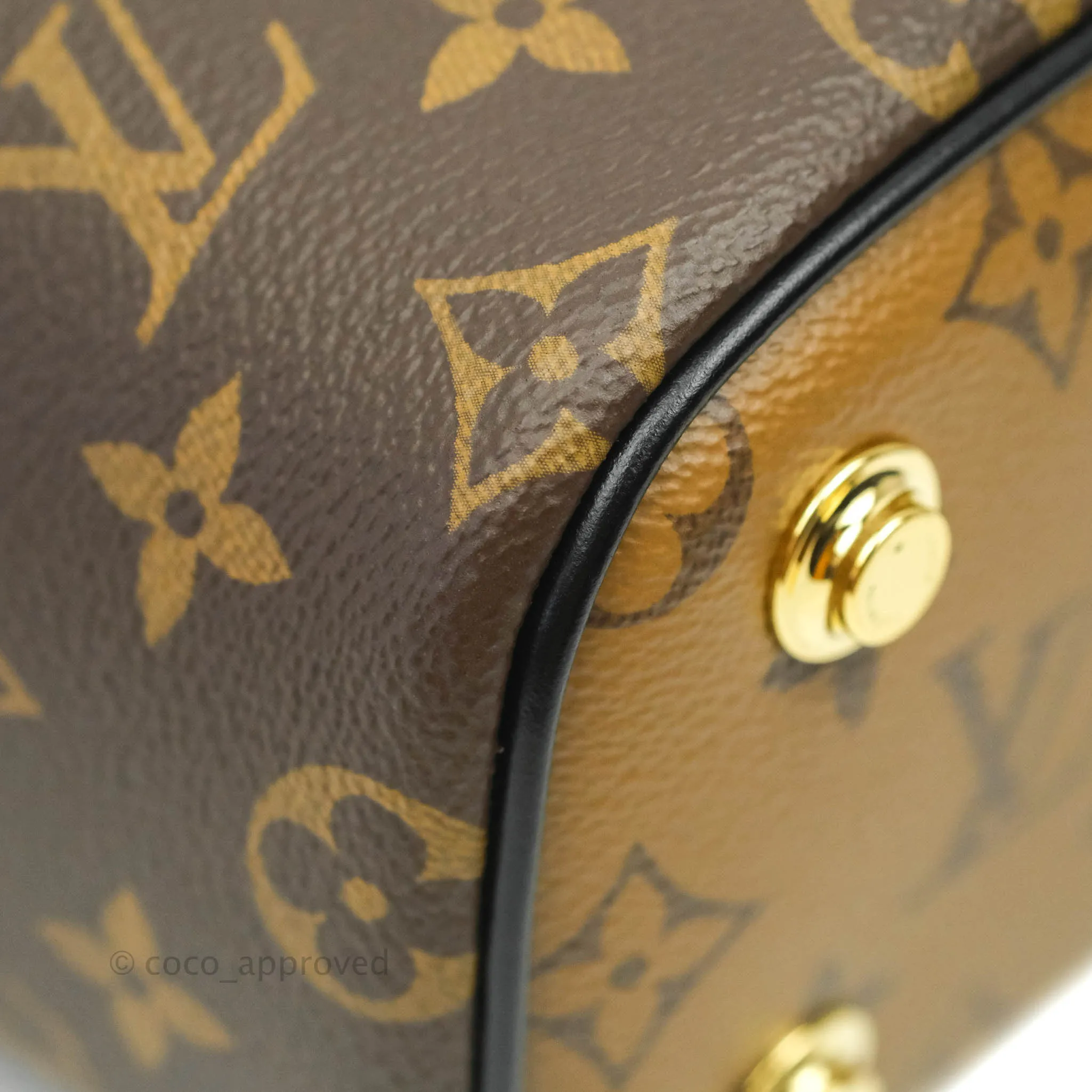 Louis Vuitton Reverse Monogram Vanity PM