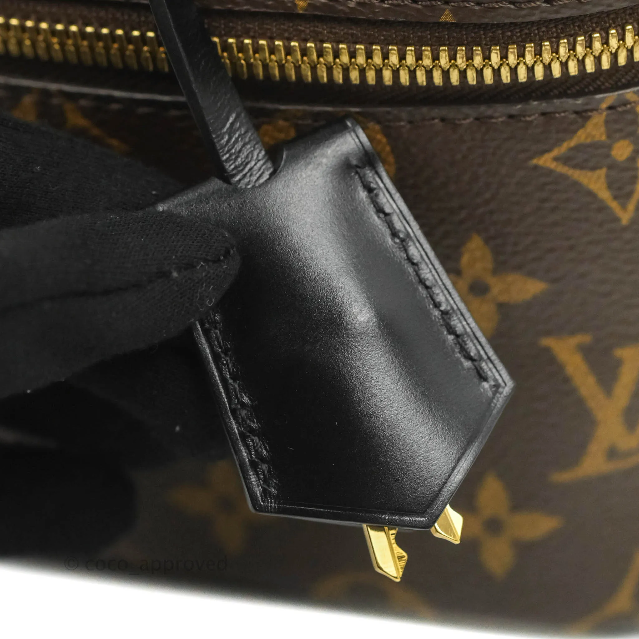Louis Vuitton Reverse Monogram Vanity PM