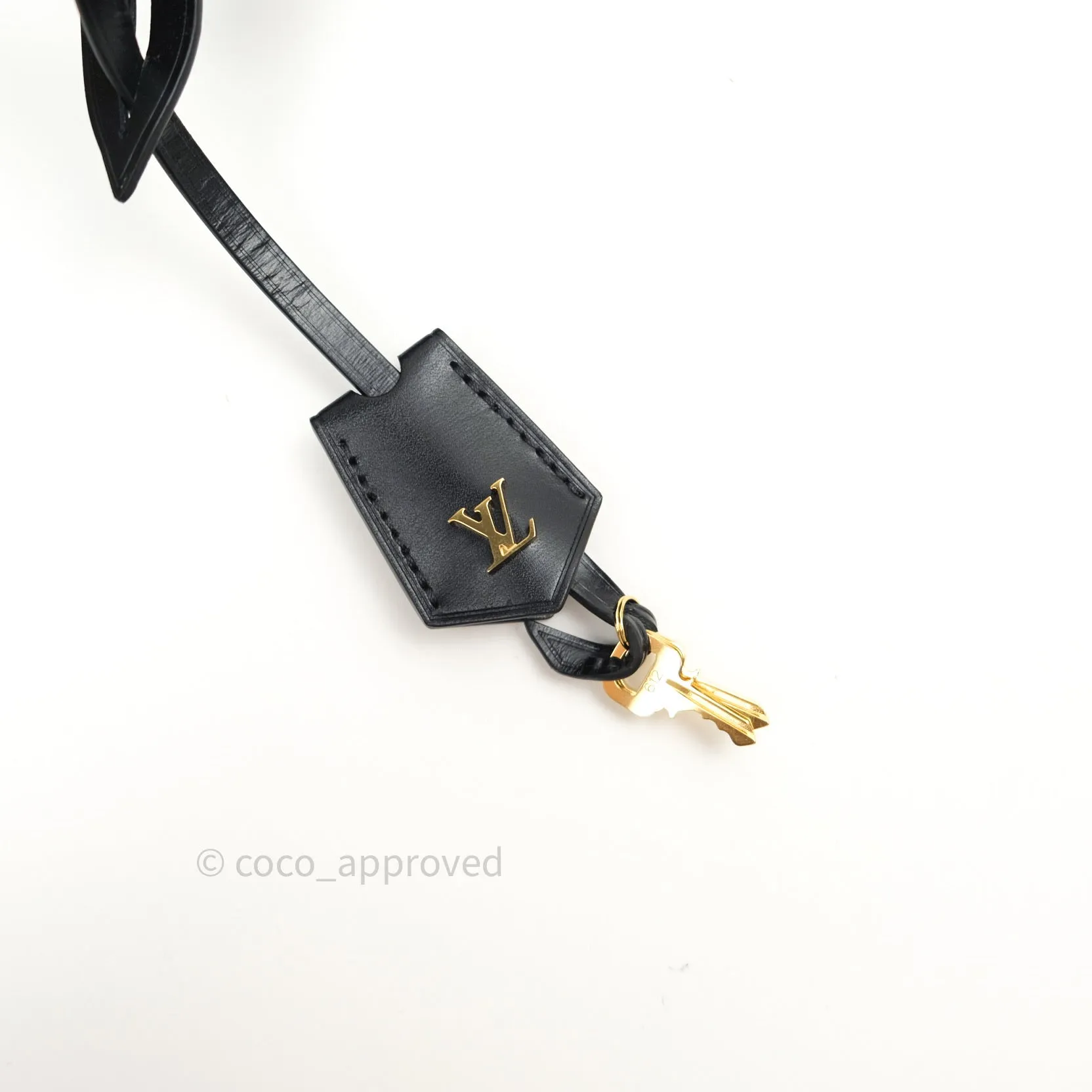 Louis Vuitton Reverse Monogram Vanity PM