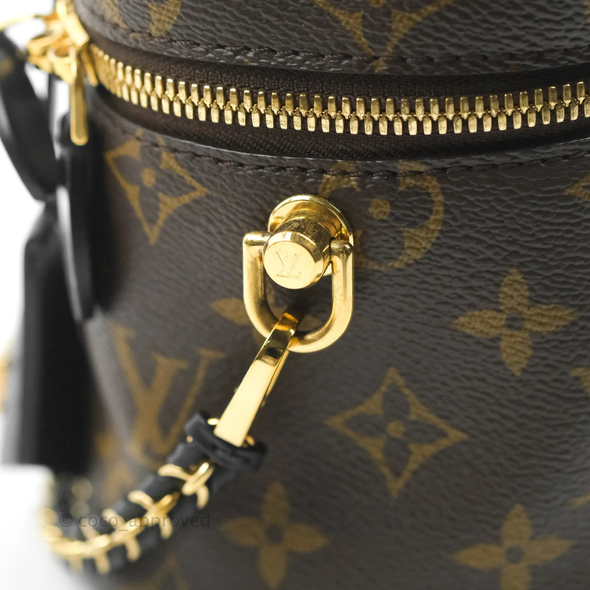 Louis Vuitton Reverse Monogram Vanity PM