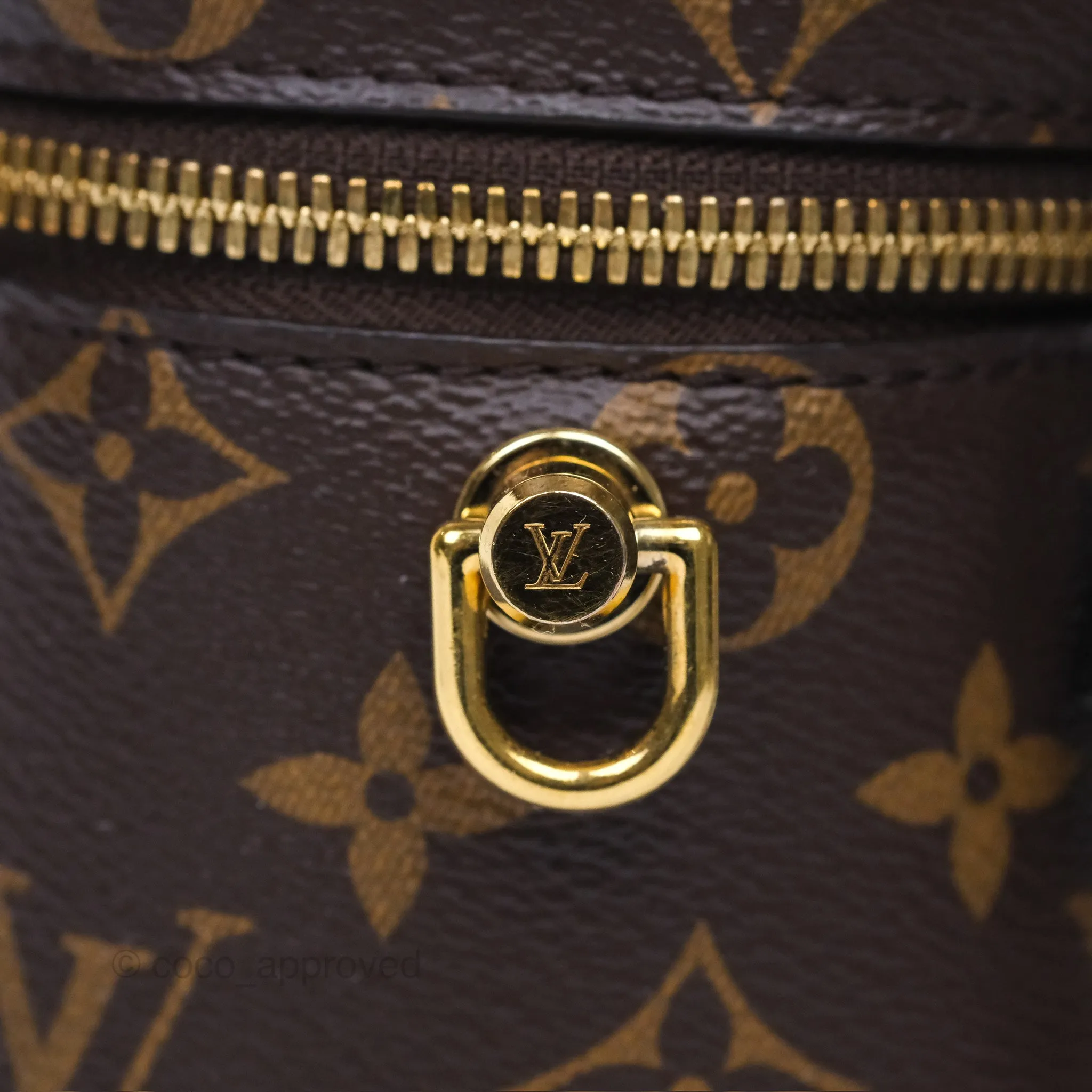 Louis Vuitton Reverse Monogram Vanity PM