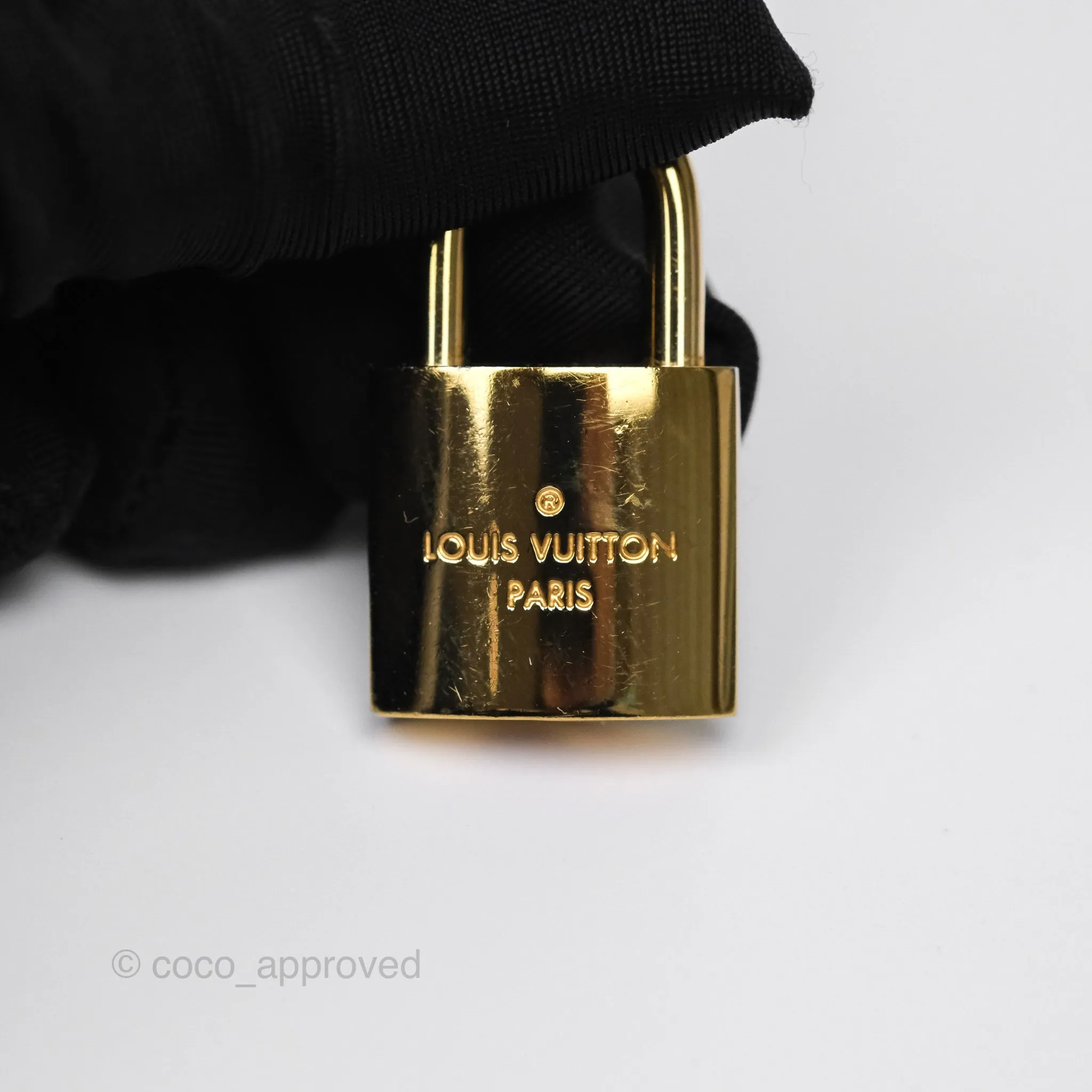 Louis Vuitton Reverse Monogram Vanity PM