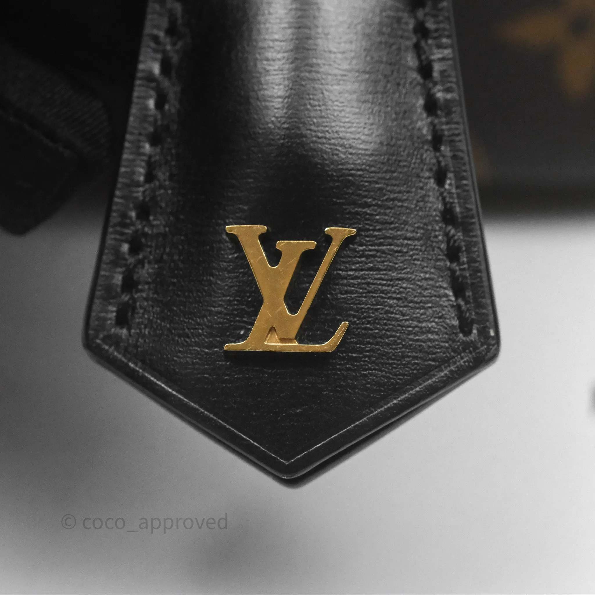 Louis Vuitton Reverse Monogram Vanity PM