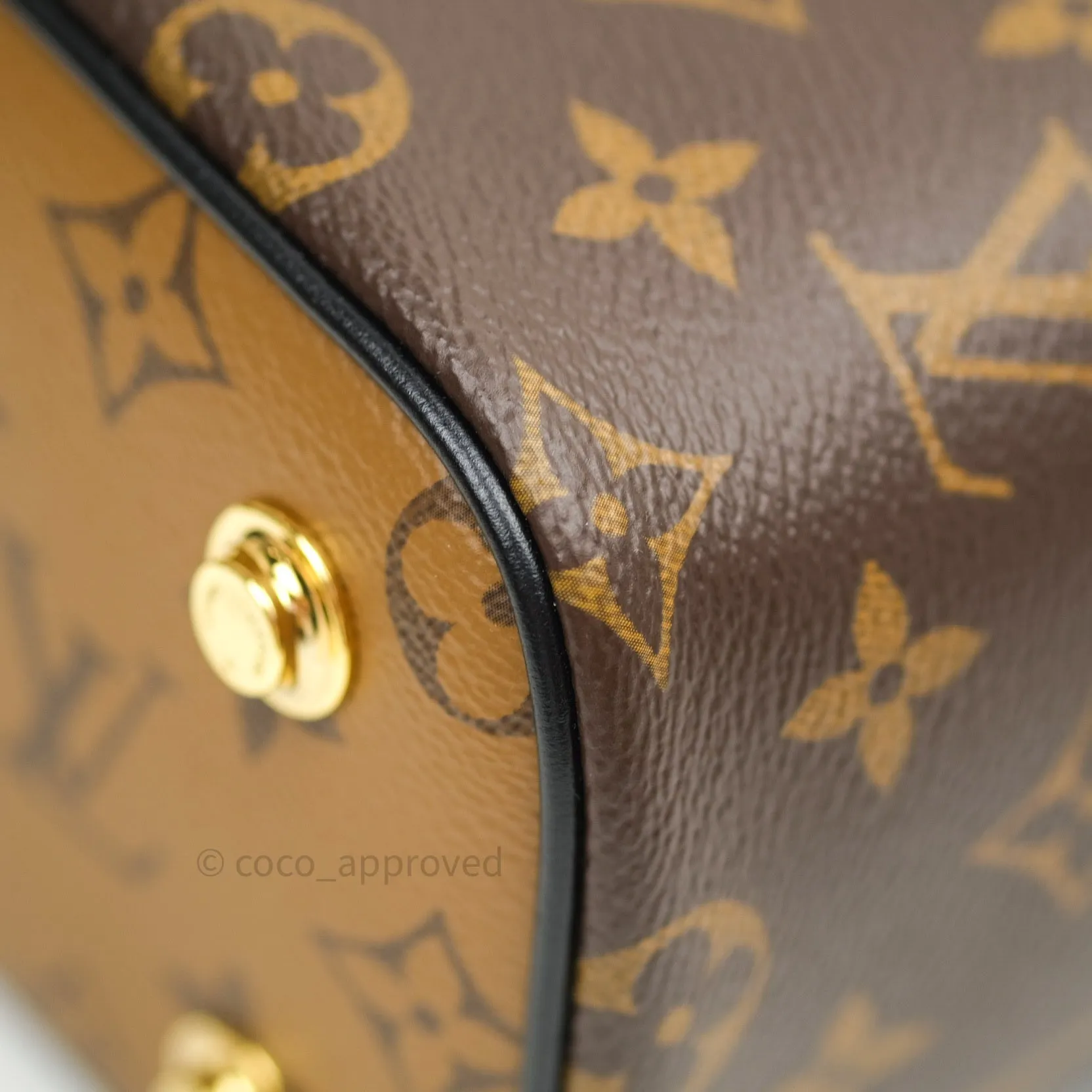 Louis Vuitton Reverse Monogram Vanity PM