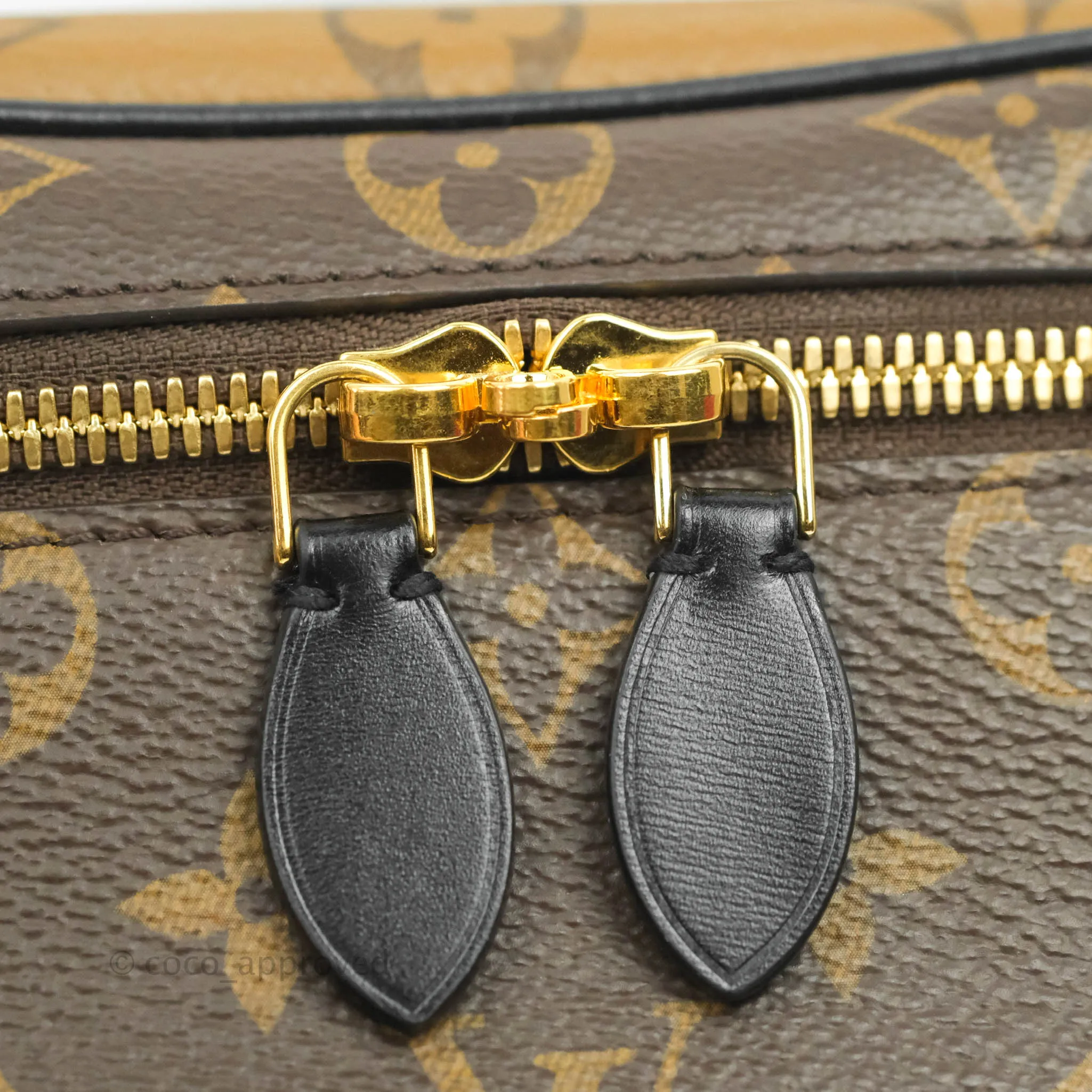 Louis Vuitton Reverse Monogram Vanity PM