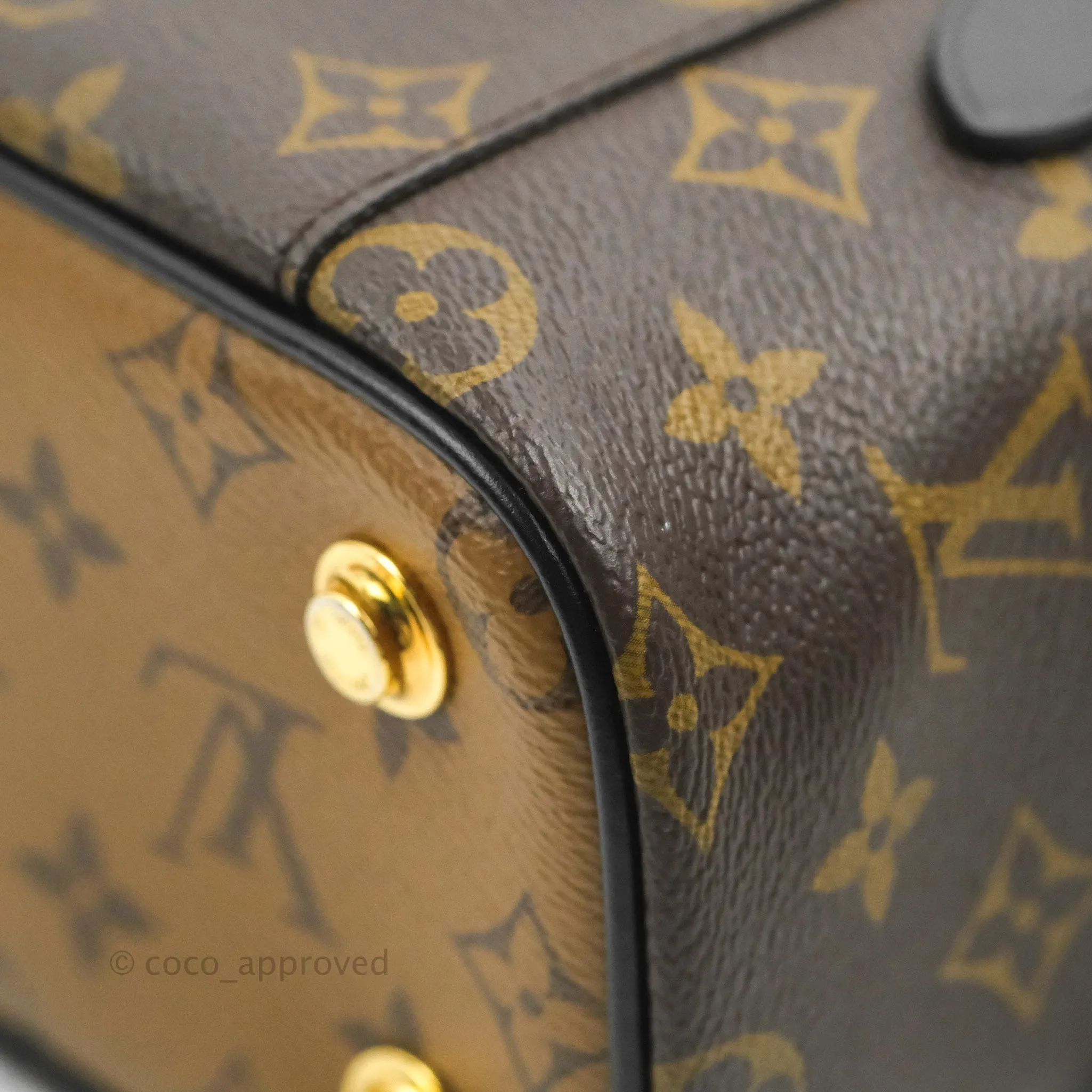 Louis Vuitton Reverse Monogram Vanity PM