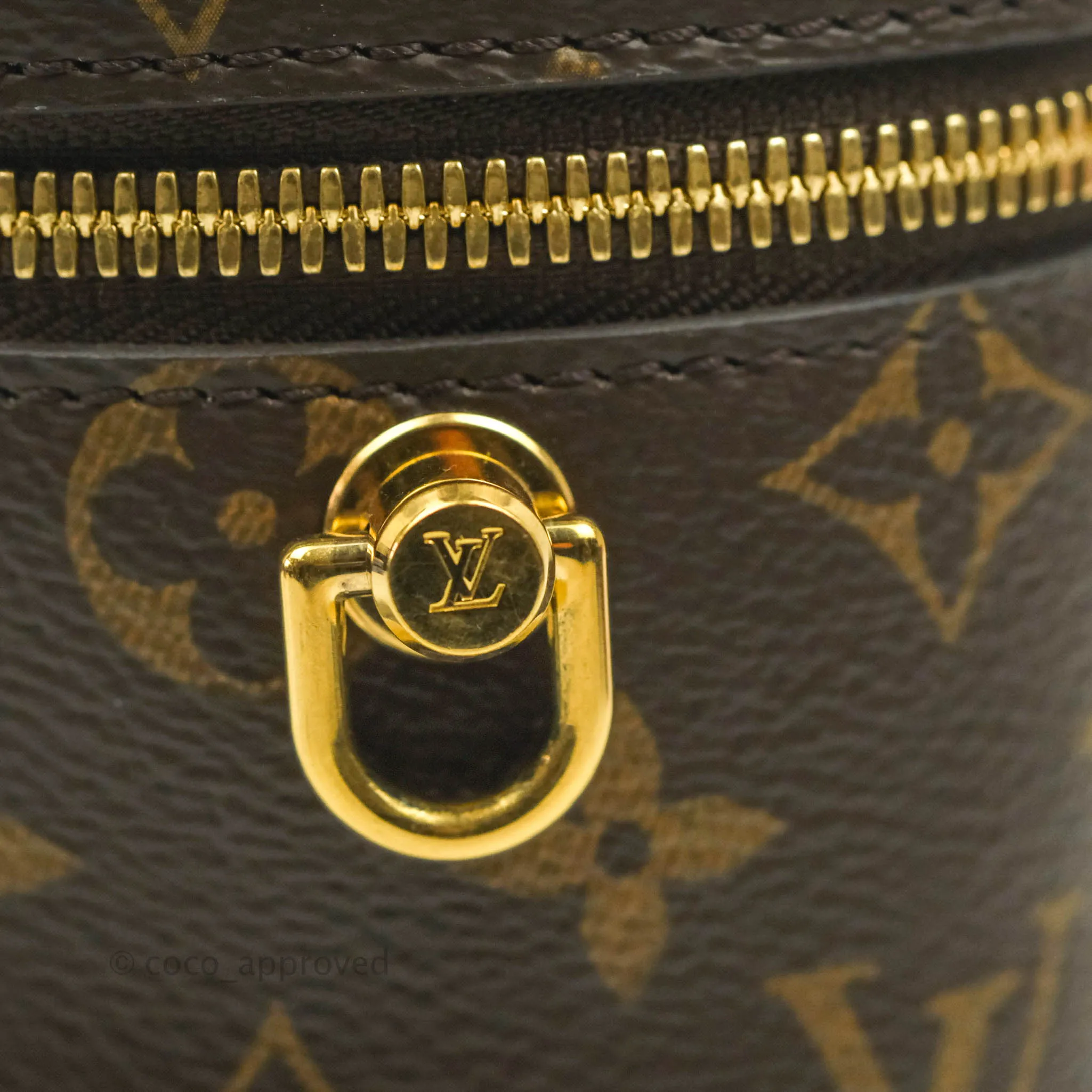 Louis Vuitton Reverse Monogram Vanity PM