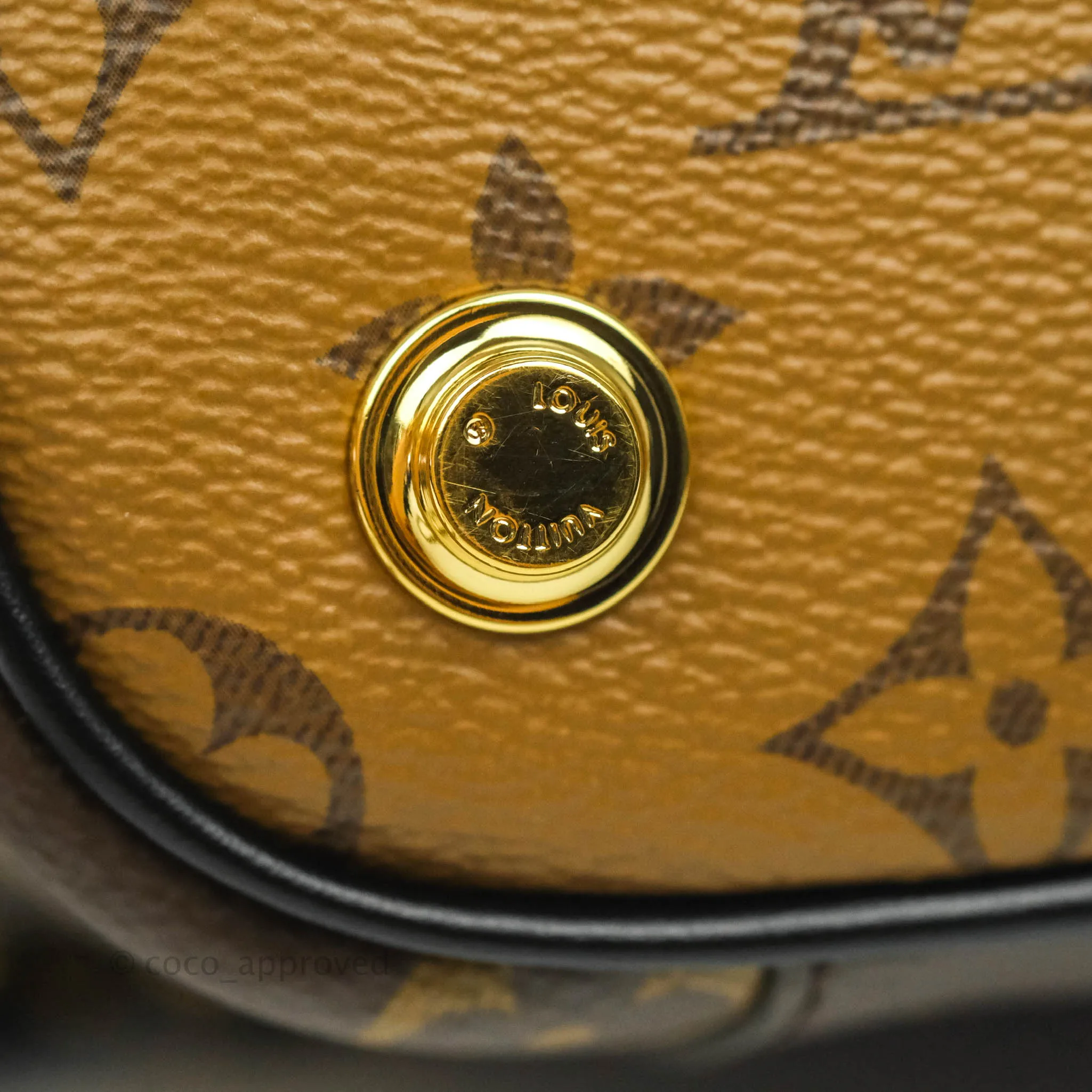 Louis Vuitton Reverse Monogram Vanity PM