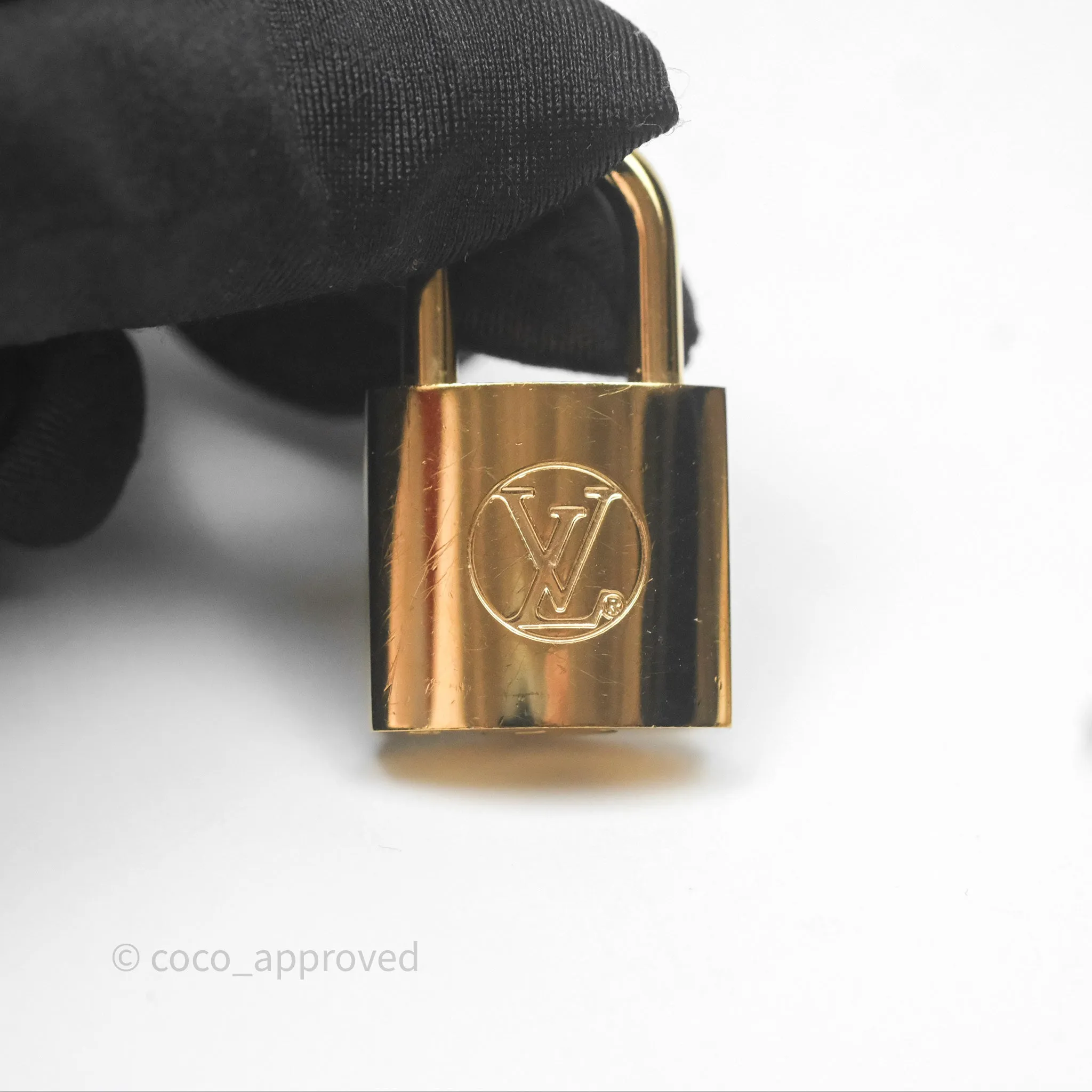 Louis Vuitton Reverse Monogram Vanity PM