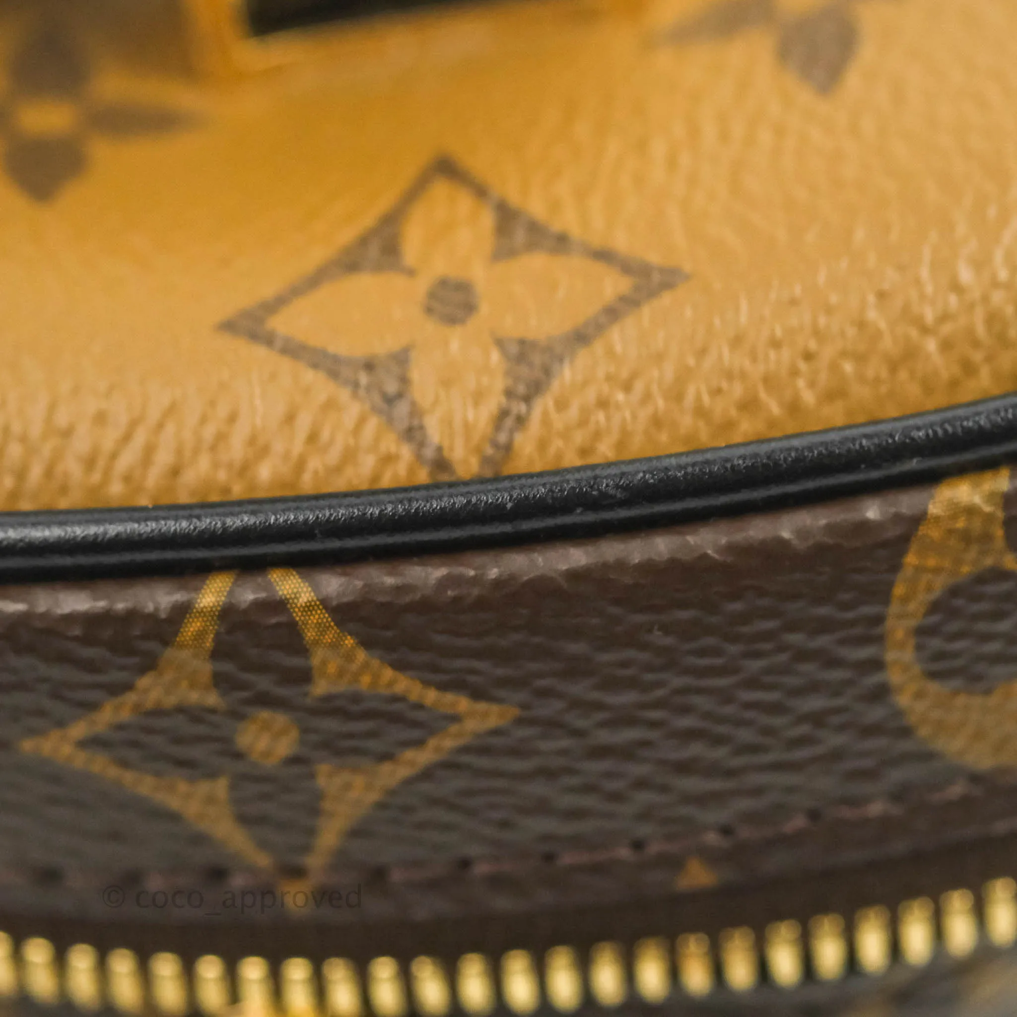 Louis Vuitton Reverse Monogram Vanity PM