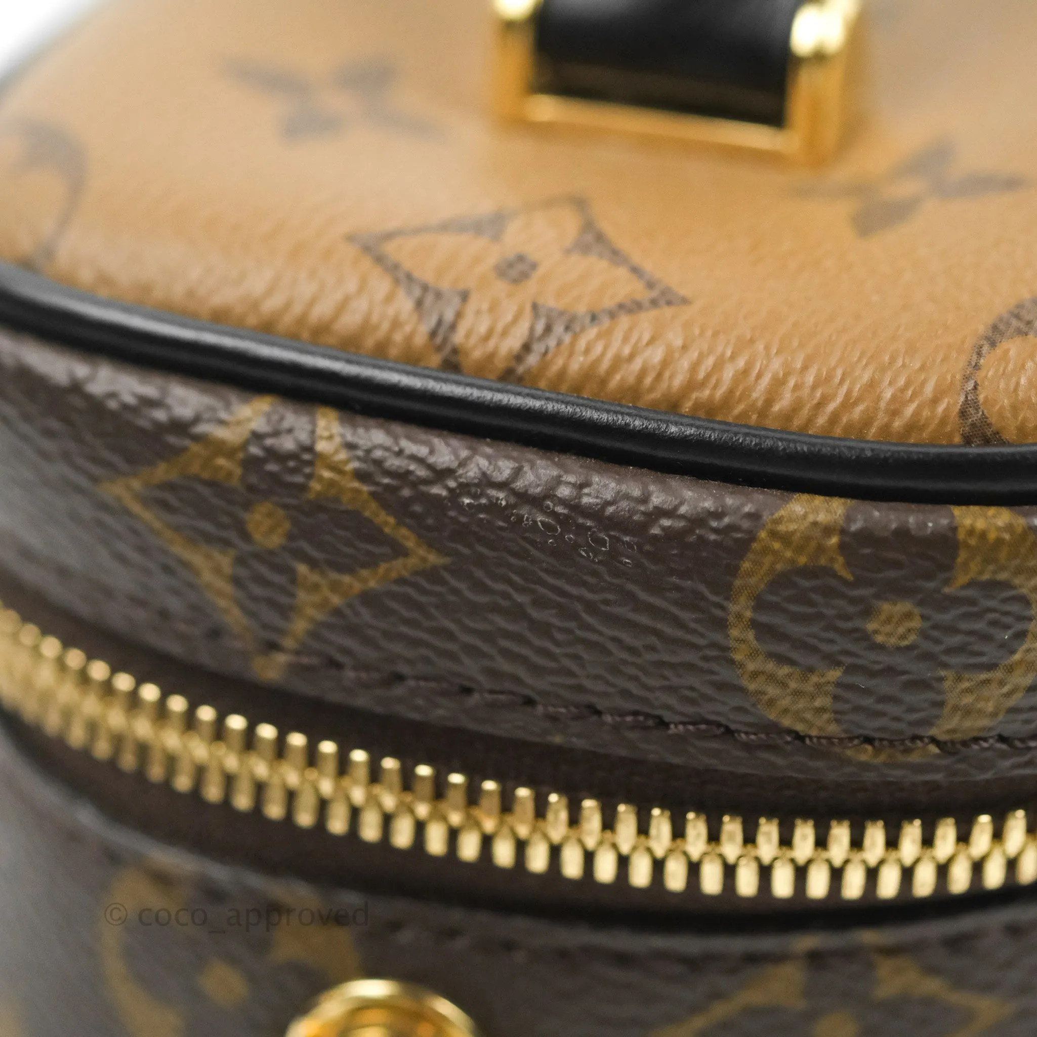 Louis Vuitton Reverse Monogram Vanity PM