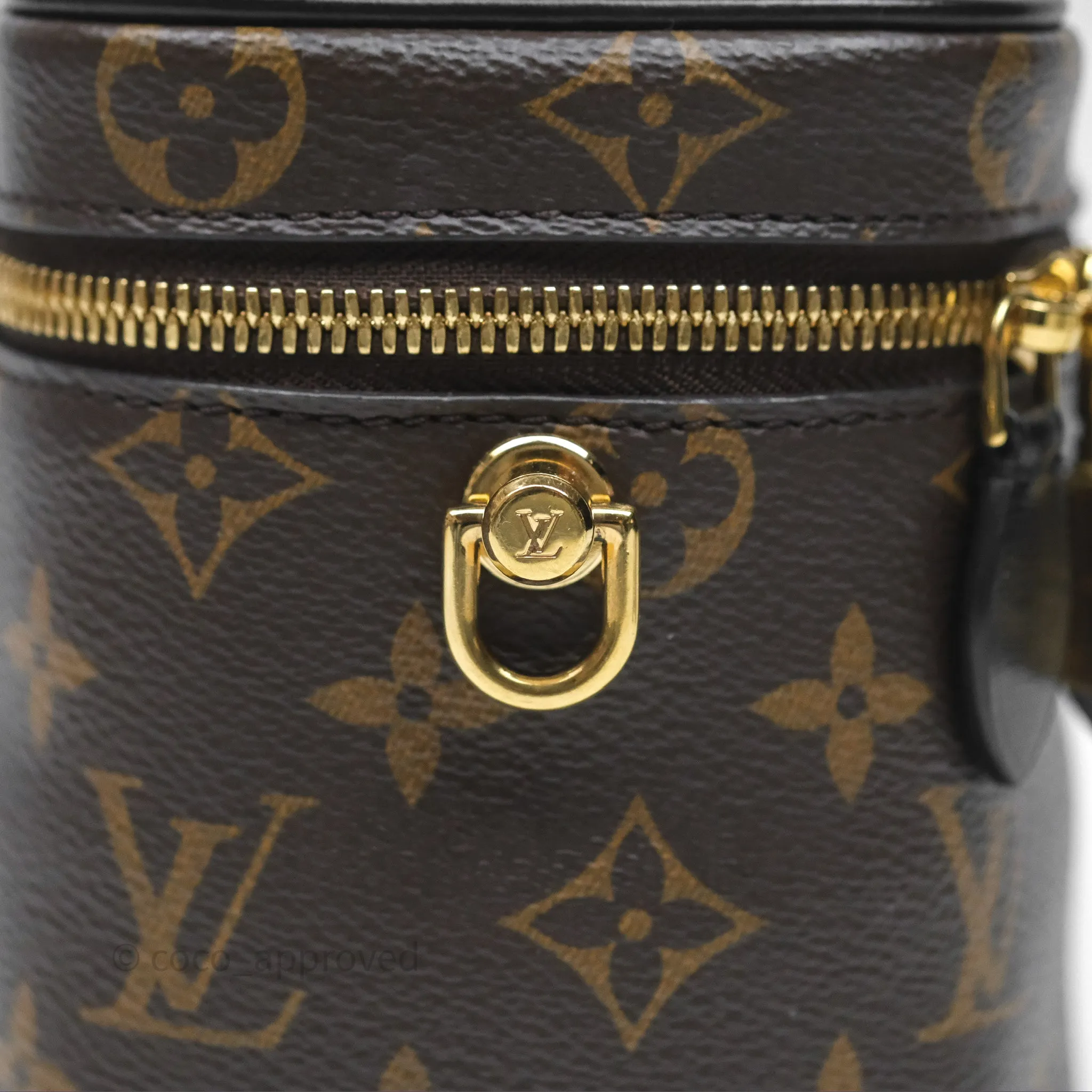 Louis Vuitton Reverse Monogram Vanity PM