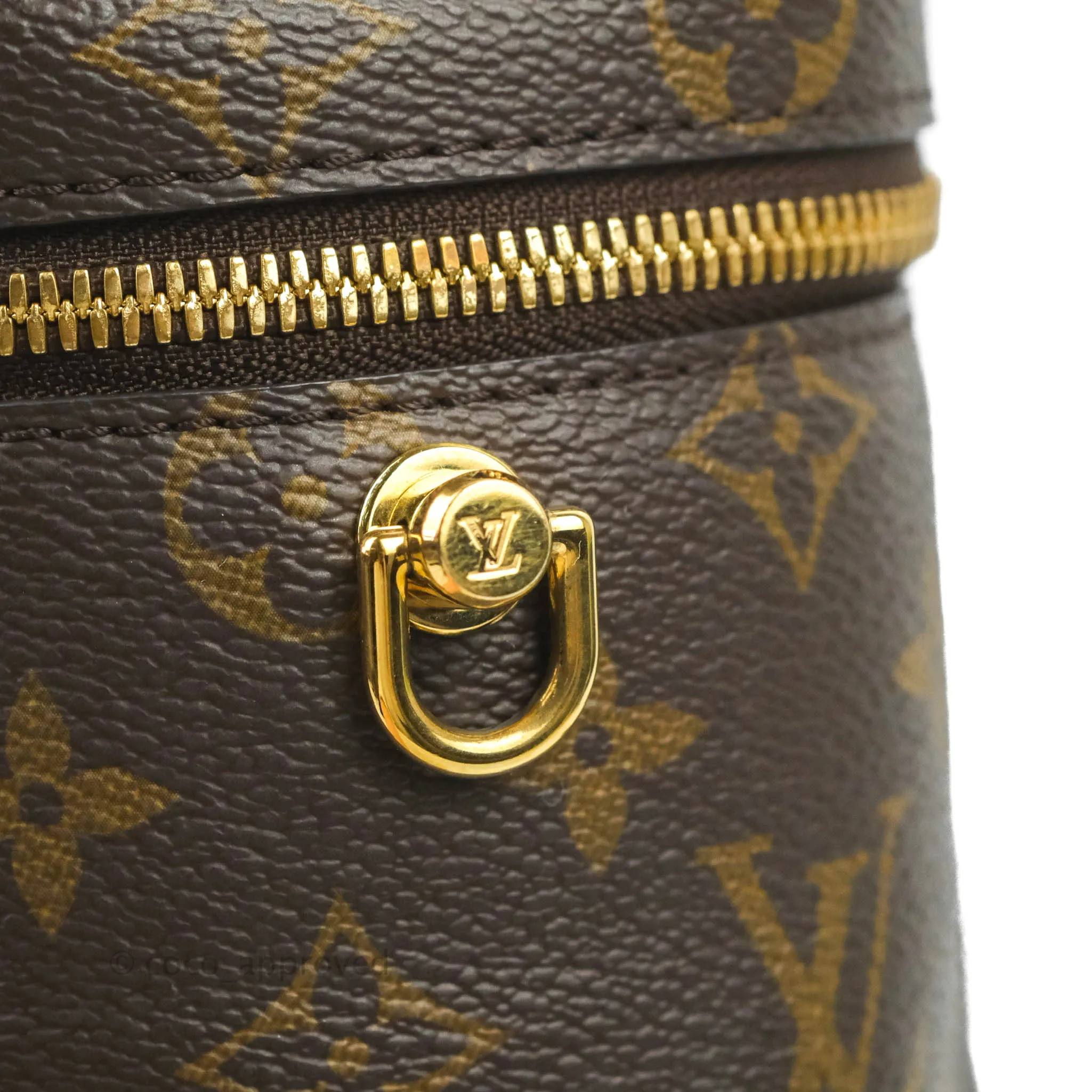 Louis Vuitton Reverse Monogram Vanity PM