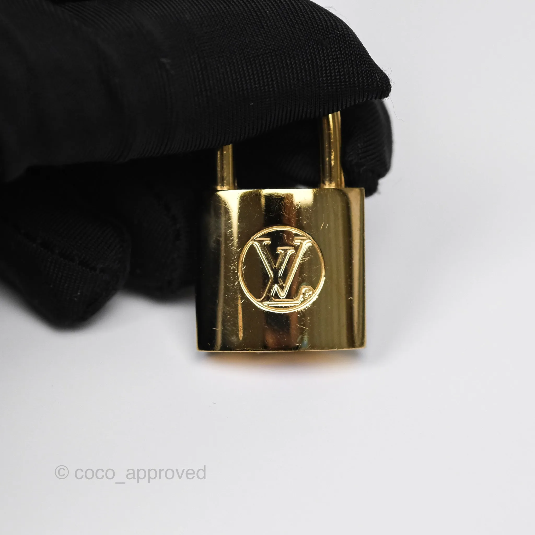 Louis Vuitton Reverse Monogram Vanity PM