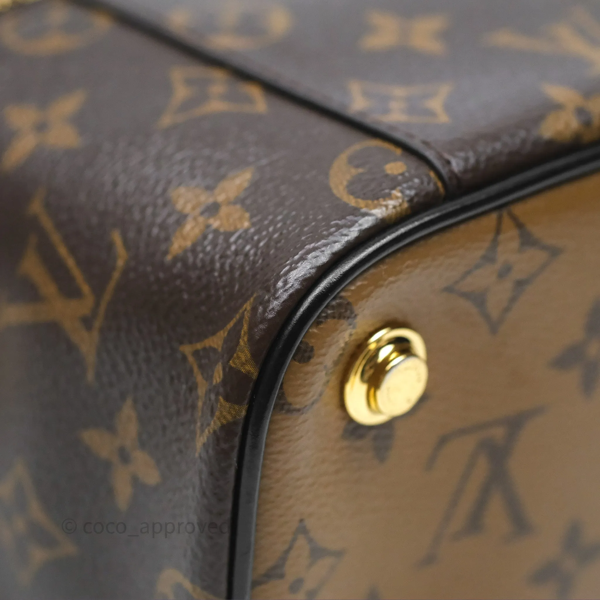 Louis Vuitton Reverse Monogram Vanity PM