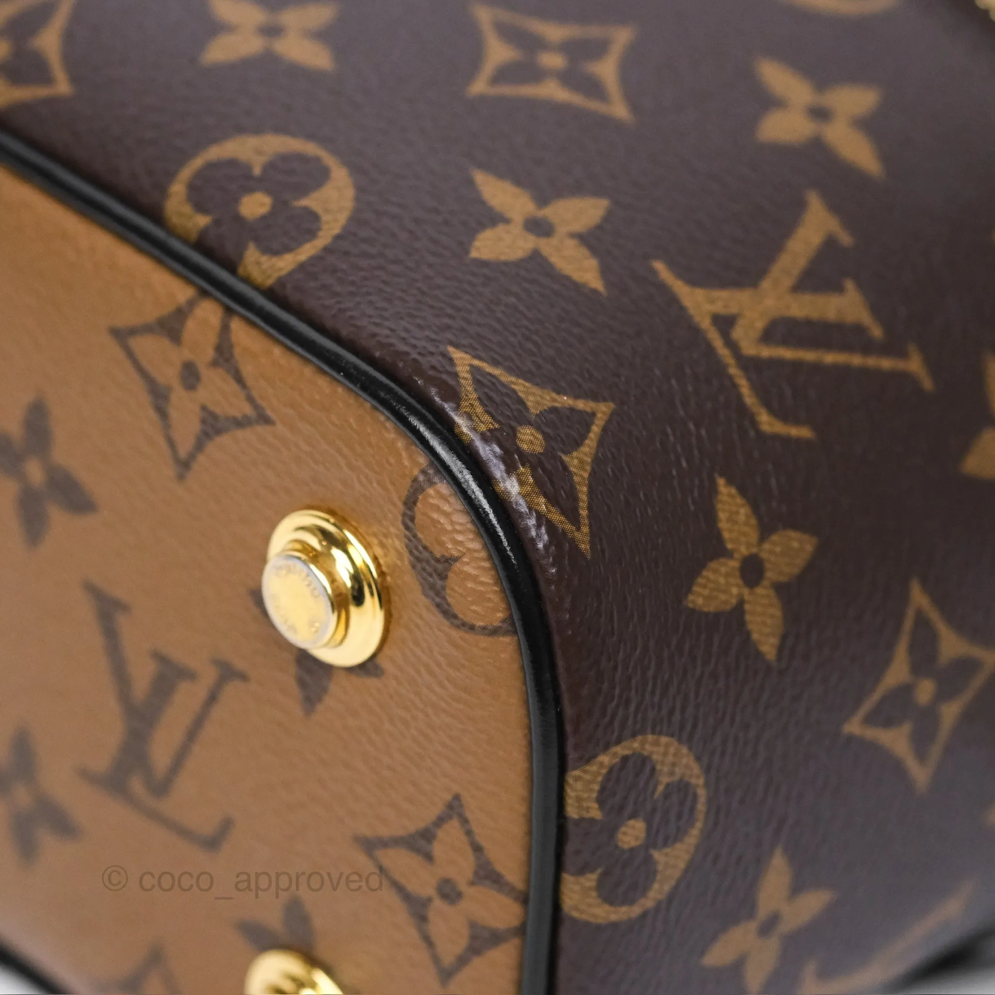 Louis Vuitton Reverse Monogram Vanity PM