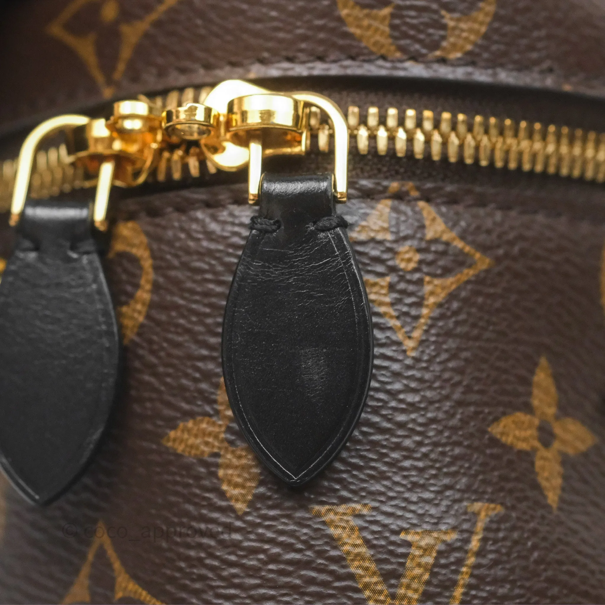 Louis Vuitton Reverse Monogram Vanity PM