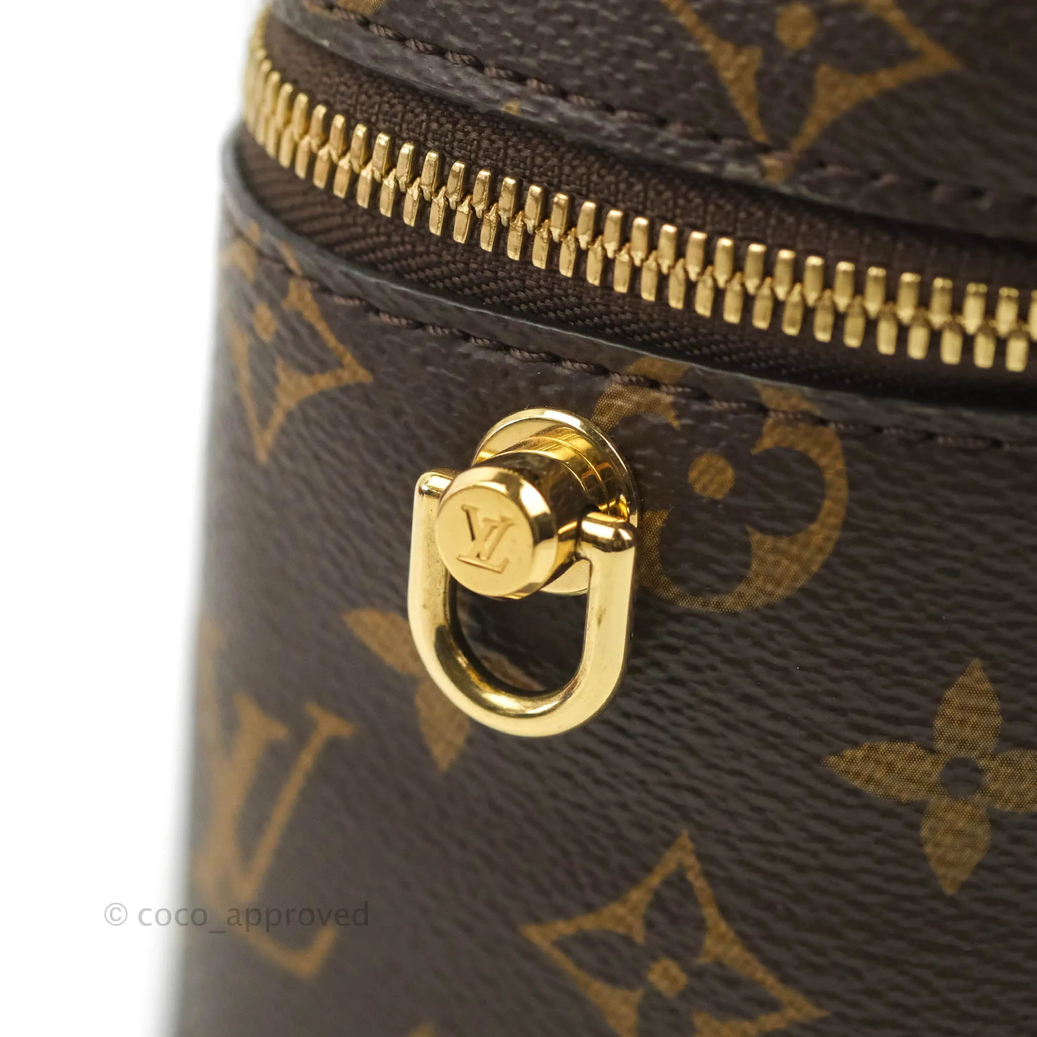 Louis Vuitton Reverse Monogram Vanity PM