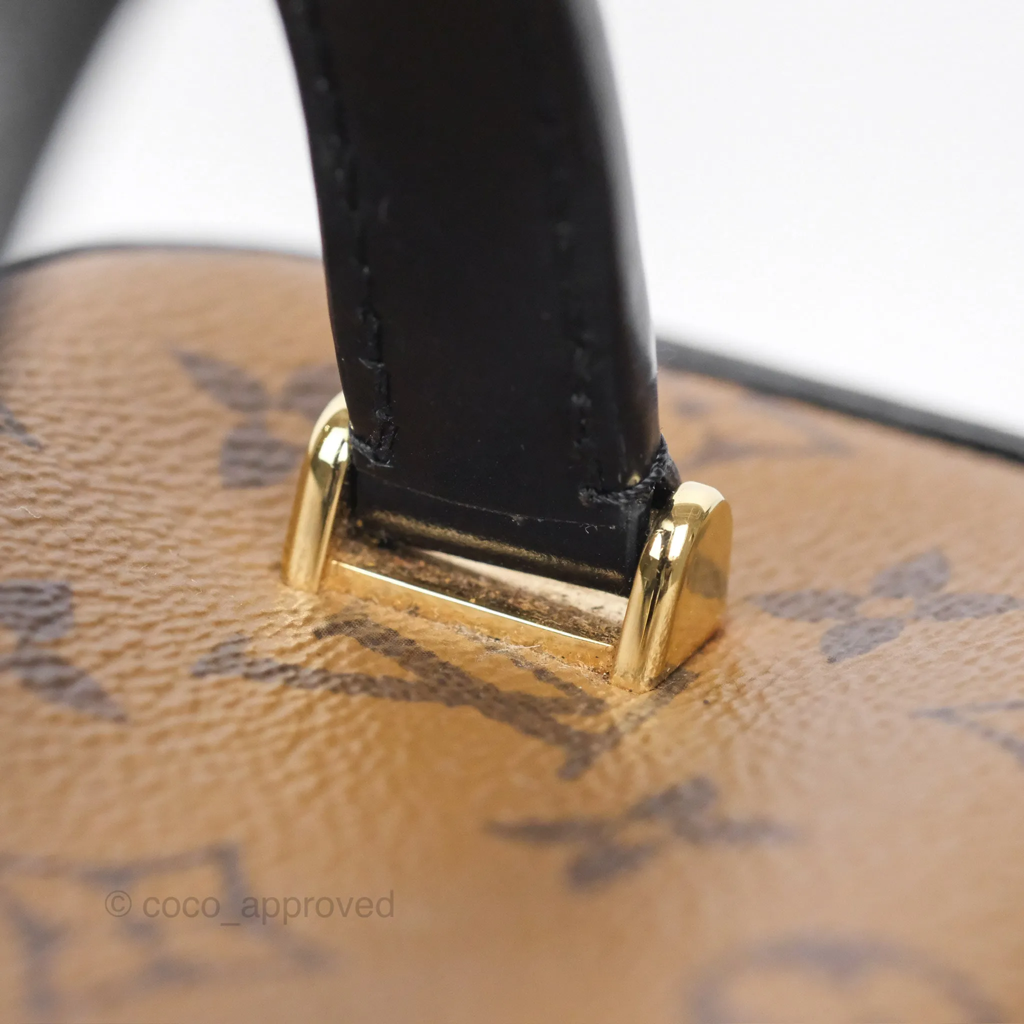 Louis Vuitton Reverse Monogram Vanity PM