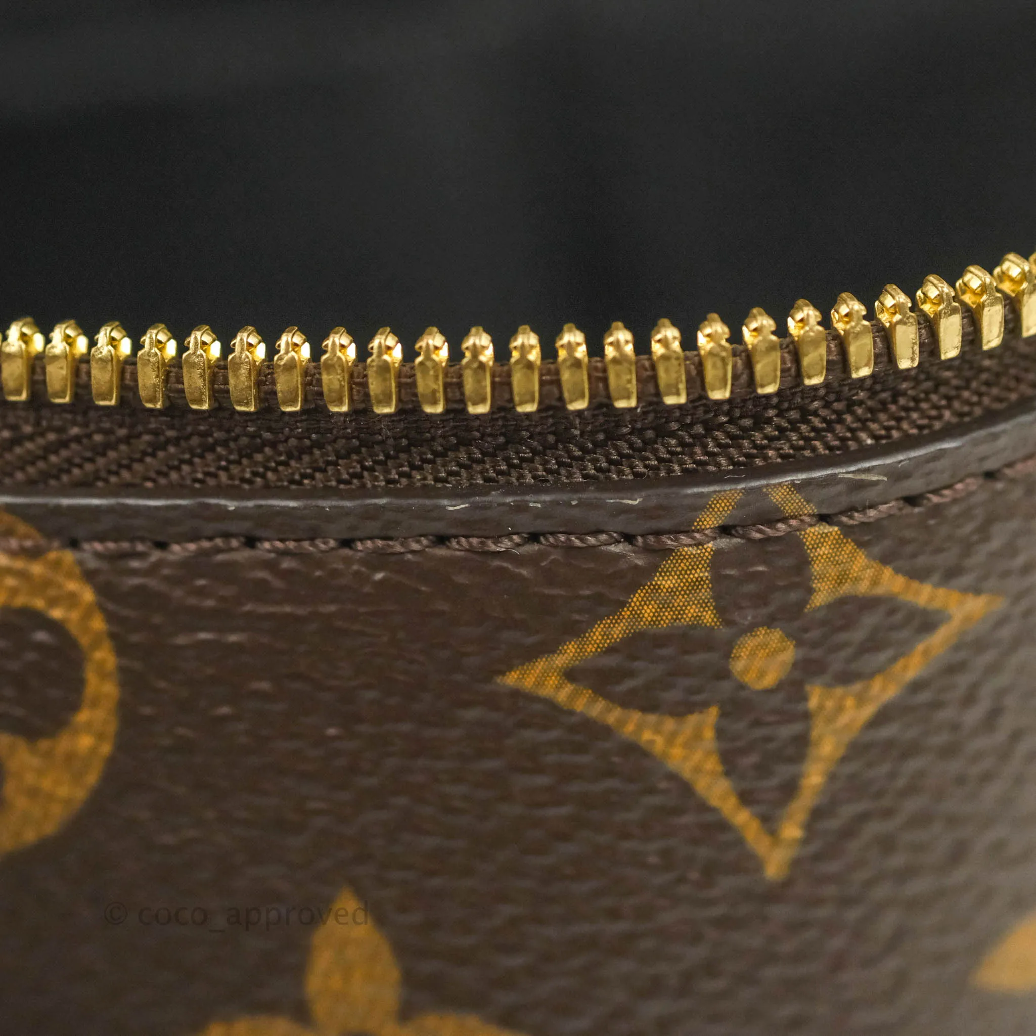 Louis Vuitton Reverse Monogram Vanity PM