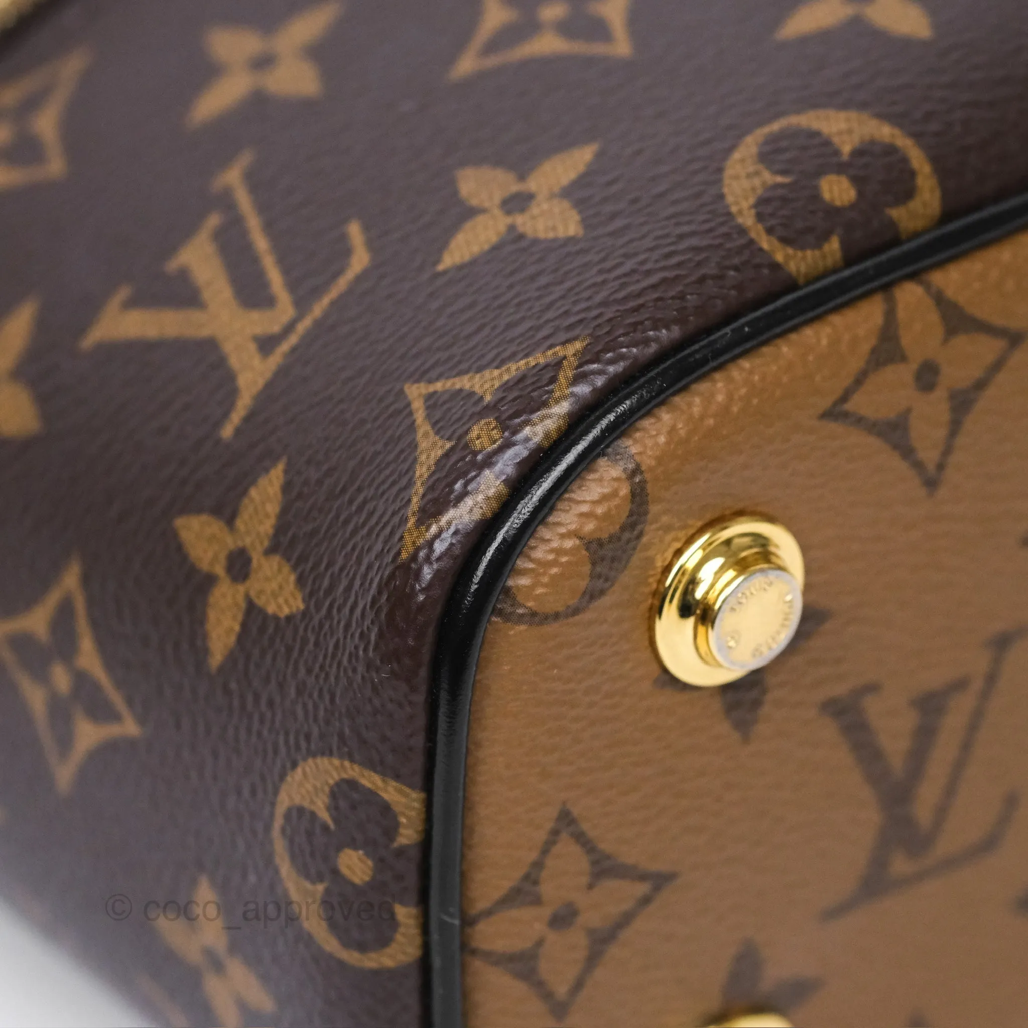 Louis Vuitton Reverse Monogram Vanity PM