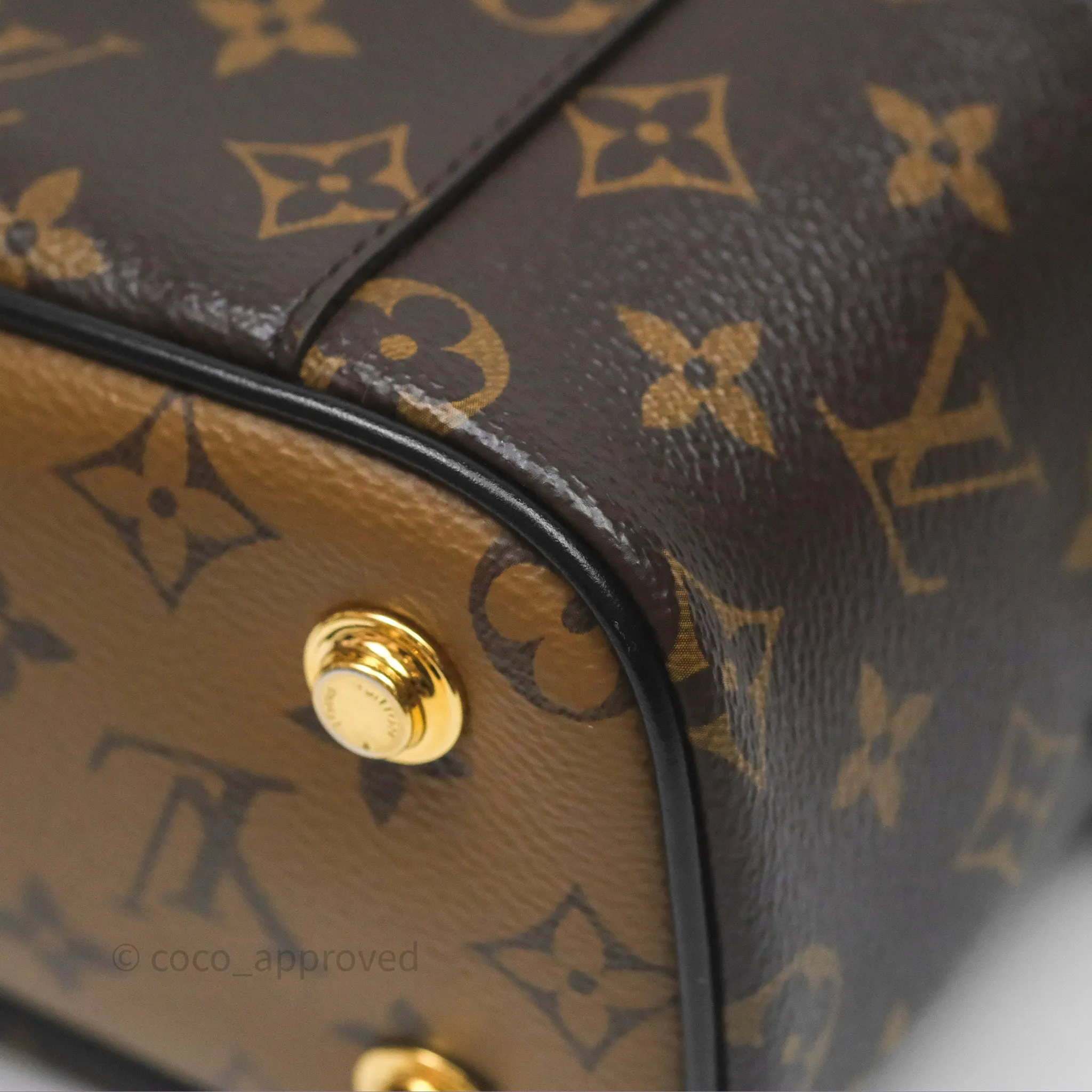 Louis Vuitton Reverse Monogram Vanity PM