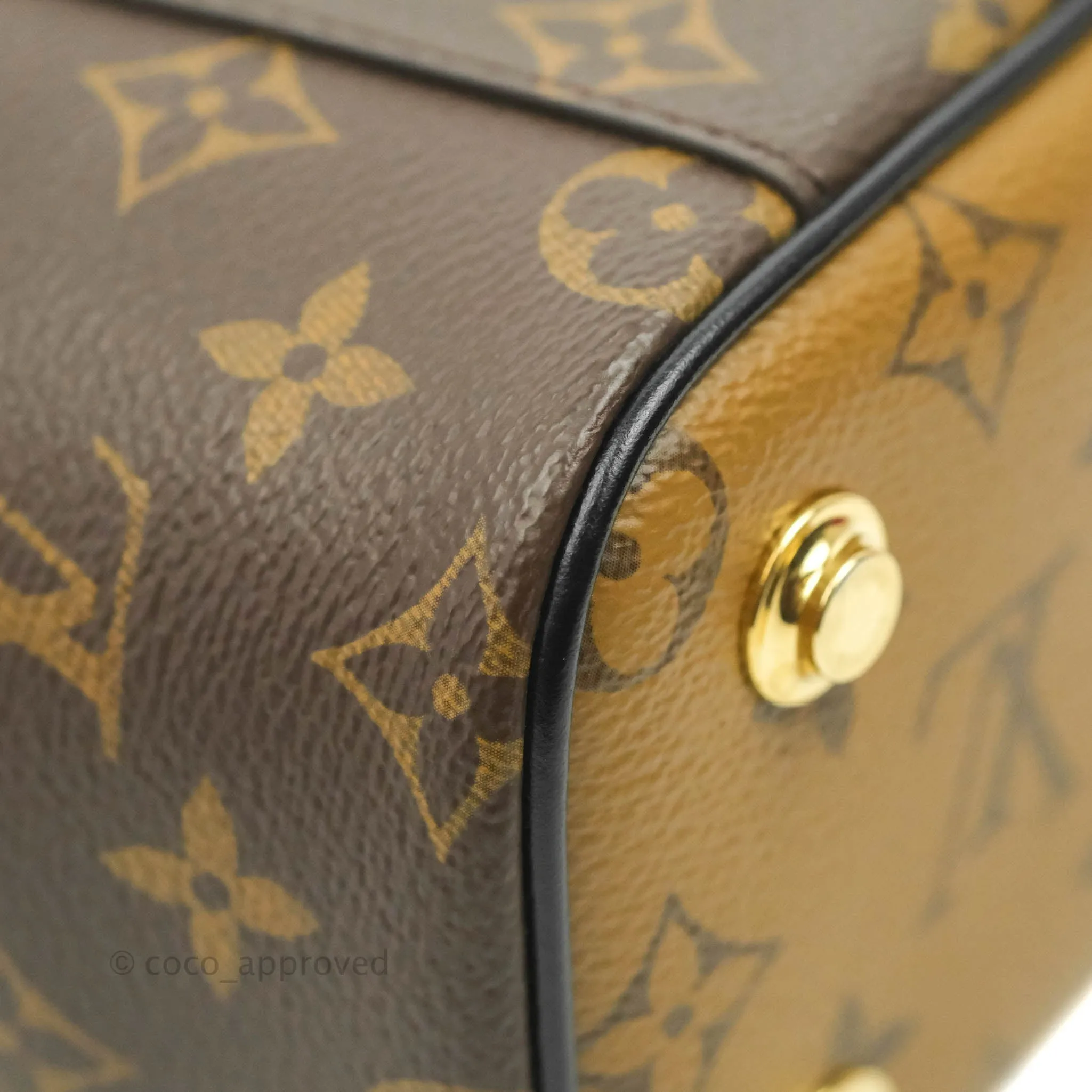 Louis Vuitton Reverse Monogram Vanity PM