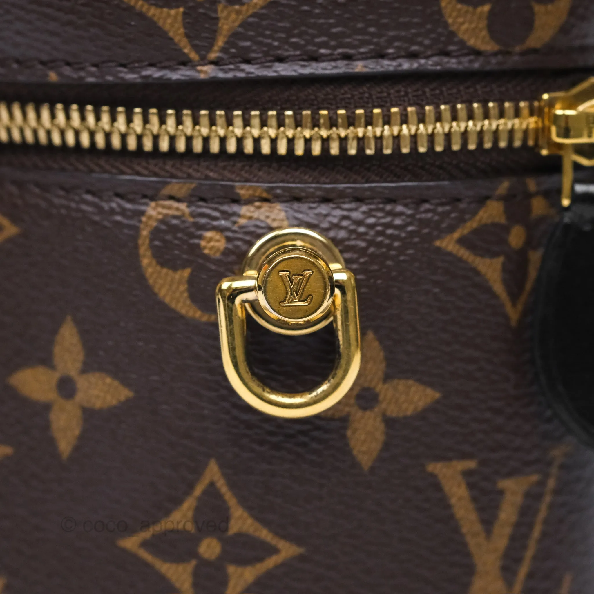 Louis Vuitton Reverse Monogram Vanity PM