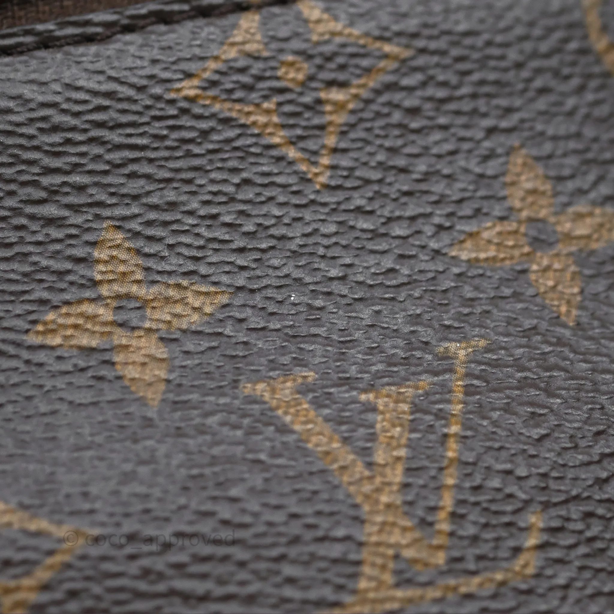 Louis Vuitton Reverse Monogram Vanity PM
