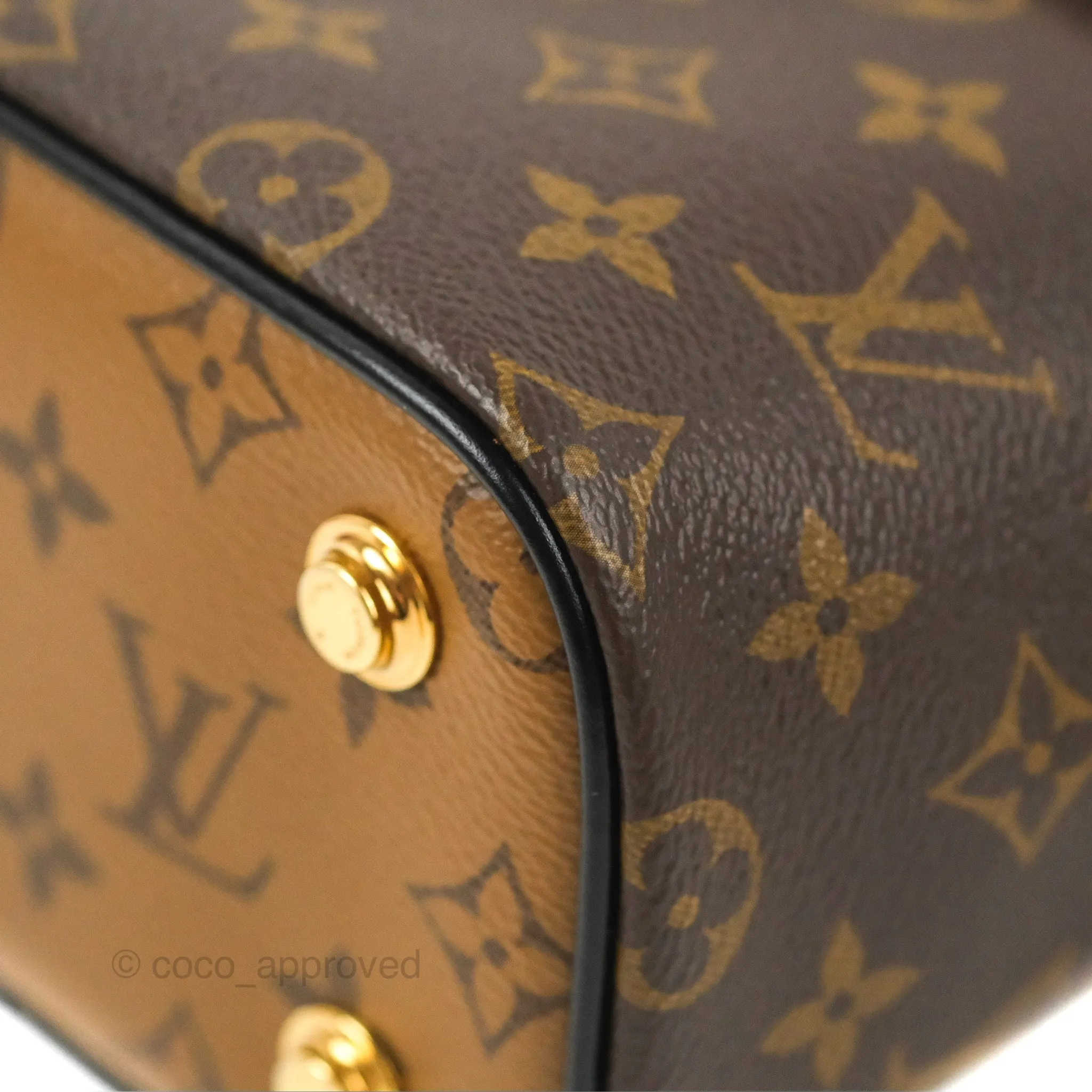 Louis Vuitton Reverse Monogram Vanity PM