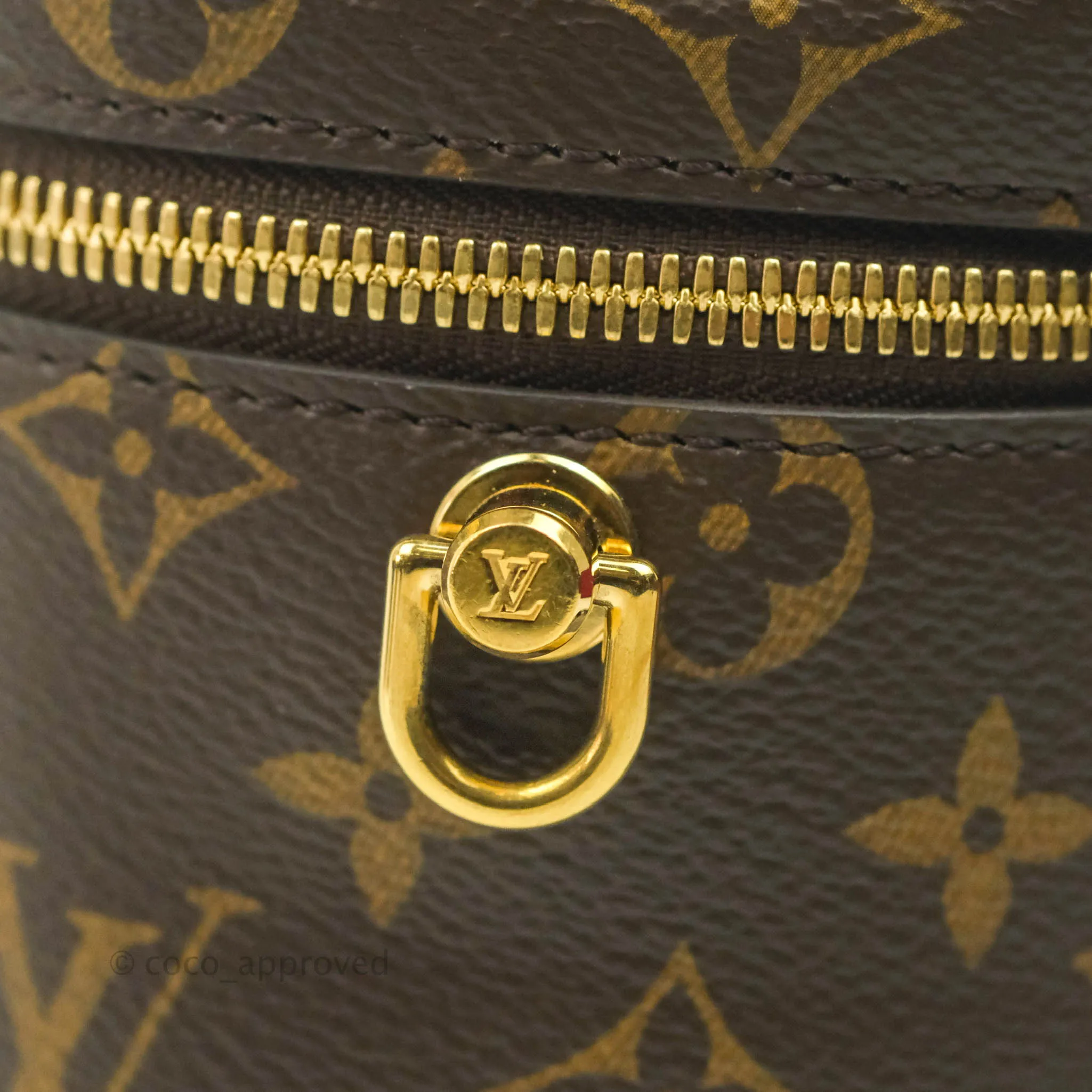 Louis Vuitton Reverse Monogram Vanity PM