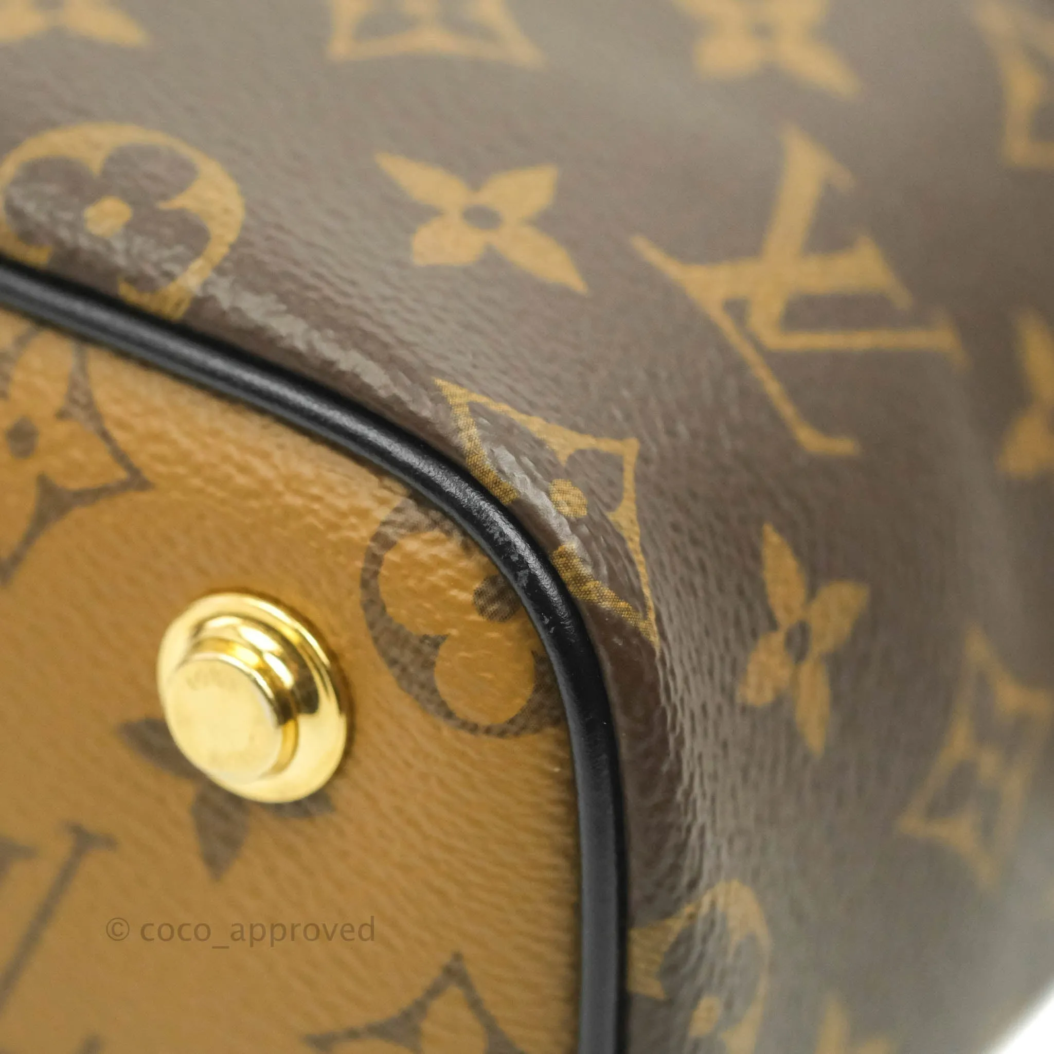 Louis Vuitton Reverse Monogram Vanity PM