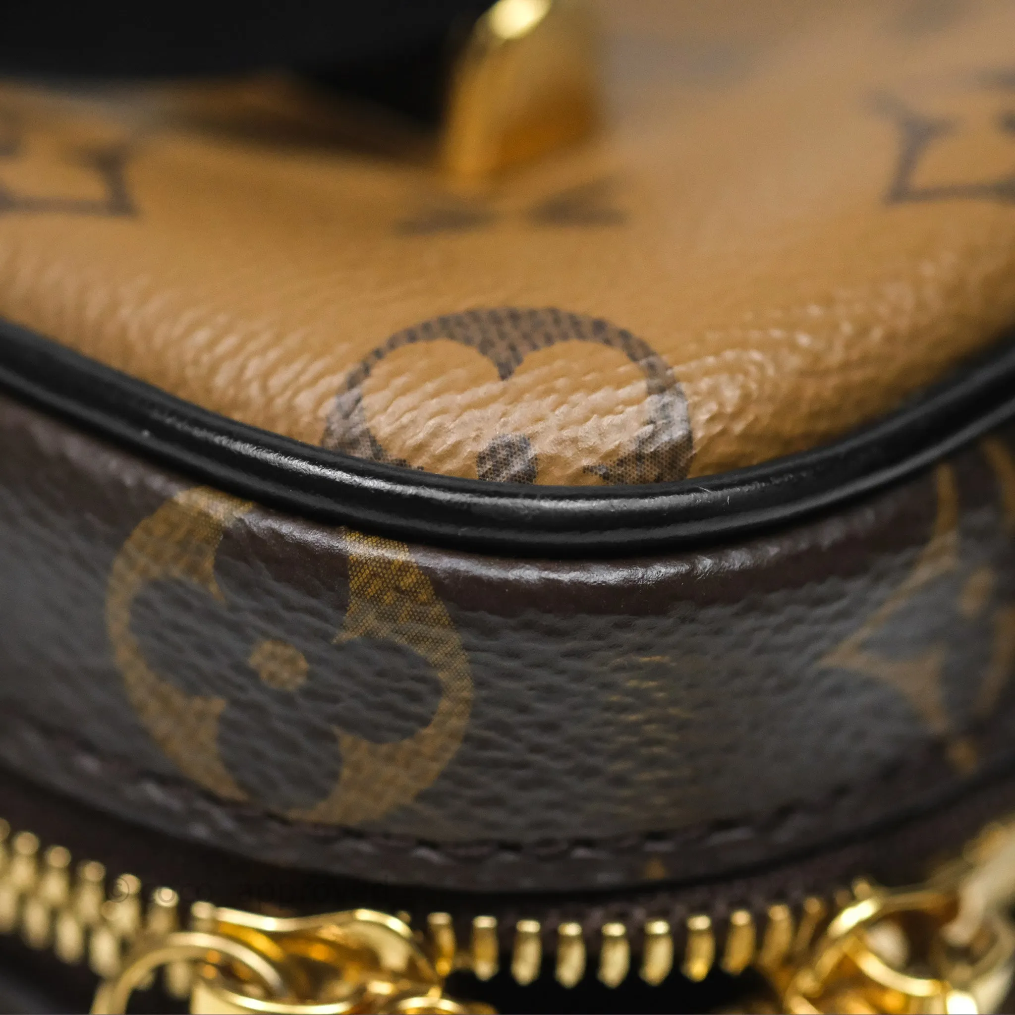 Louis Vuitton Reverse Monogram Vanity PM