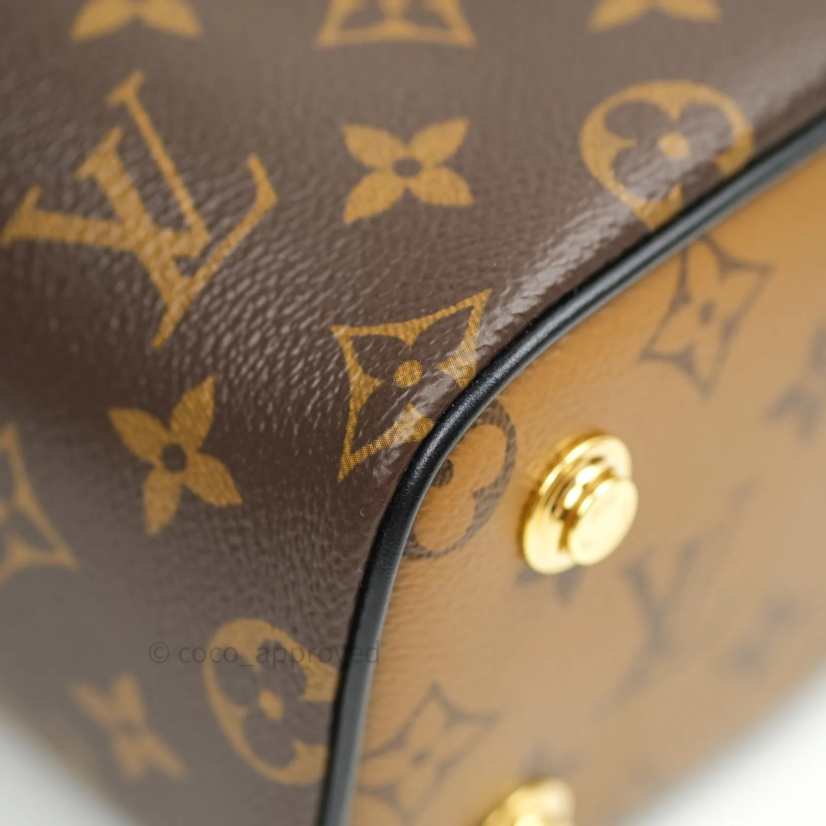 Louis Vuitton Reverse Monogram Vanity PM