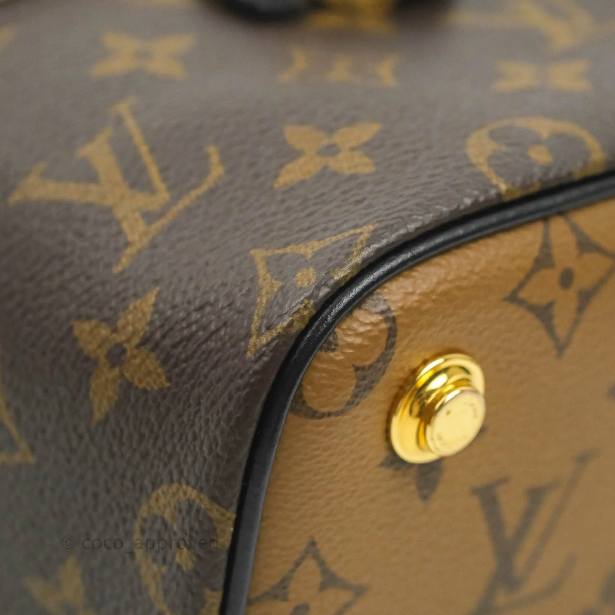 Louis Vuitton Reverse Monogram Vanity PM