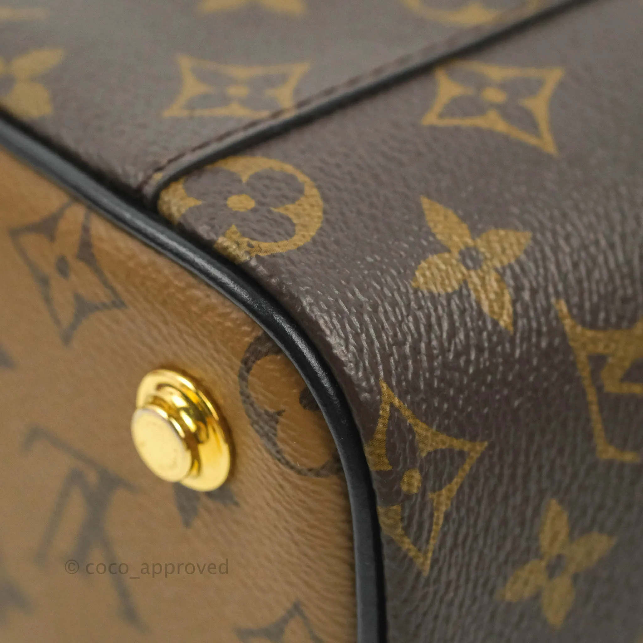 Louis Vuitton Reverse Monogram Vanity PM