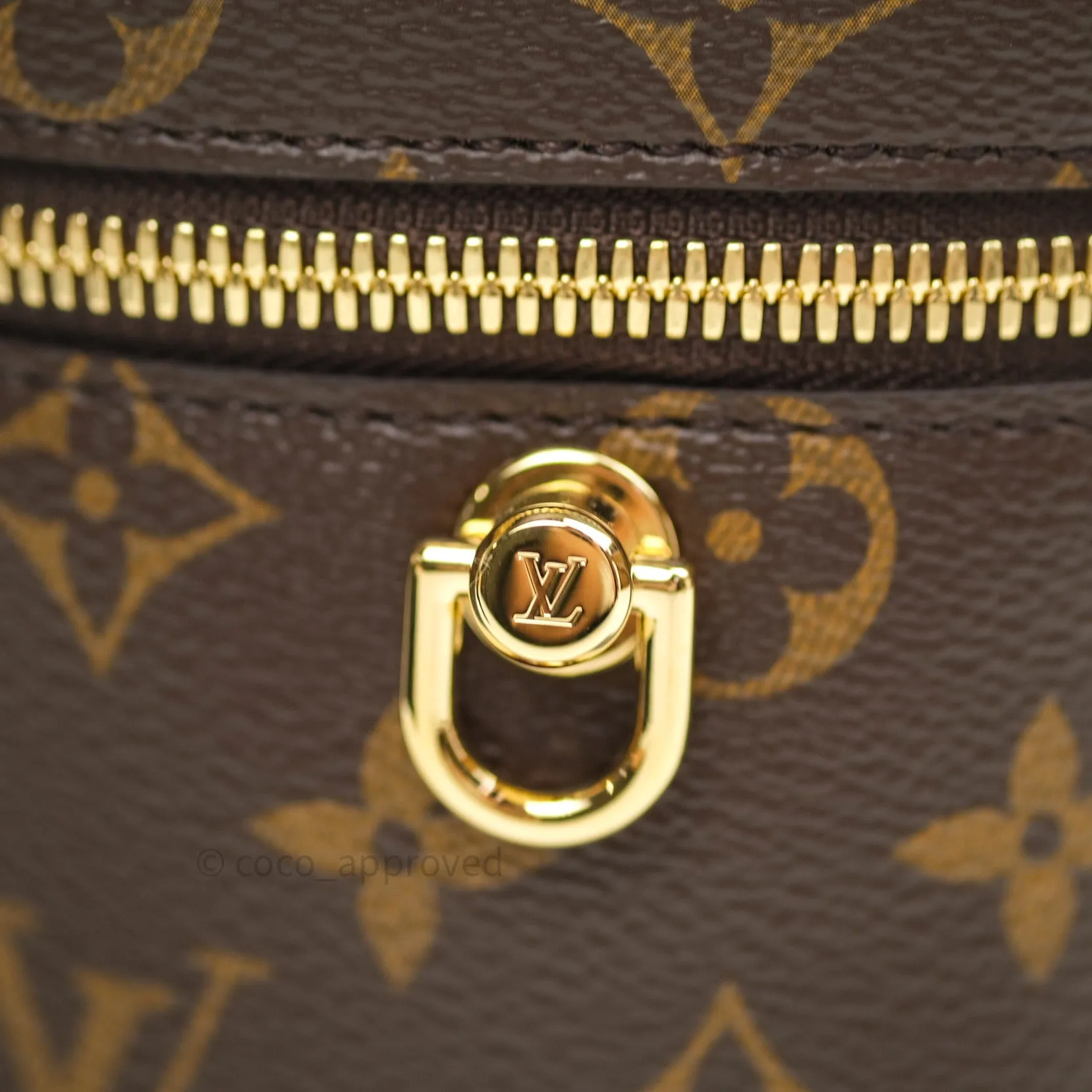 Louis Vuitton Reverse Monogram Vanity PM