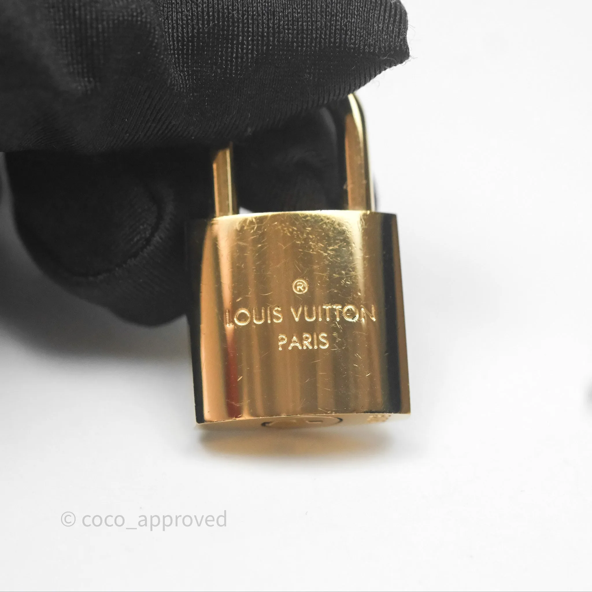 Louis Vuitton Reverse Monogram Vanity PM