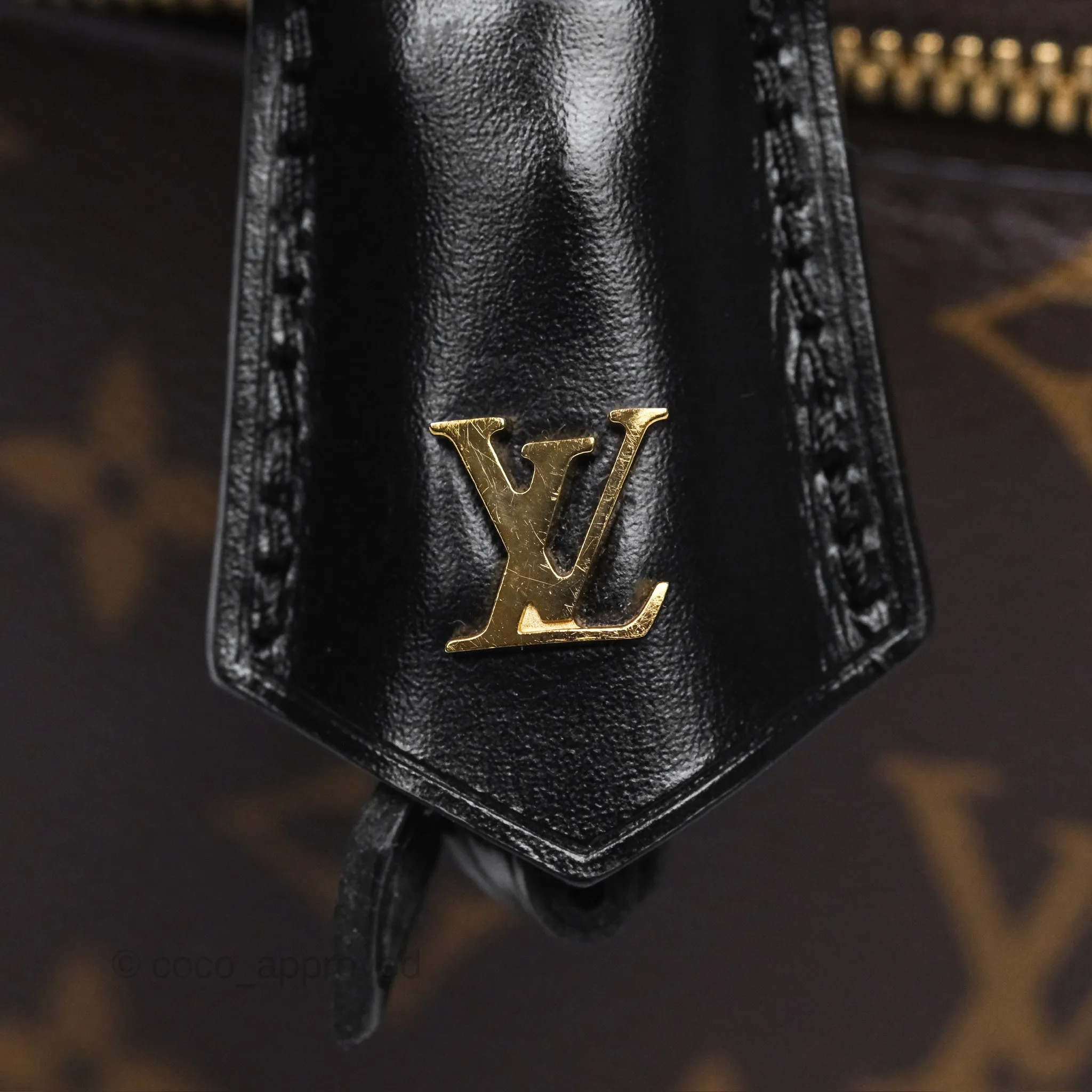 Louis Vuitton Reverse Monogram Vanity PM