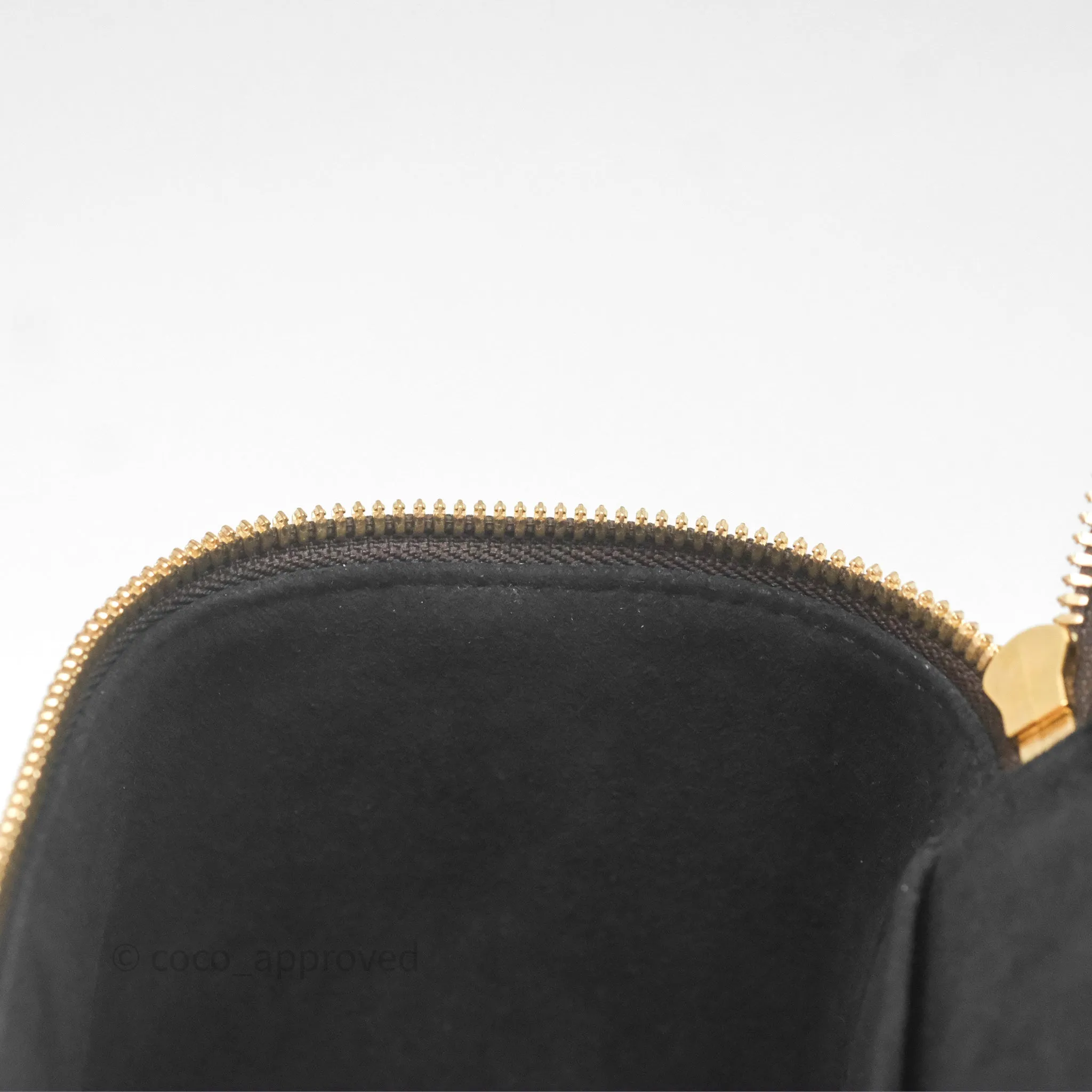 Louis Vuitton Reverse Monogram Vanity PM